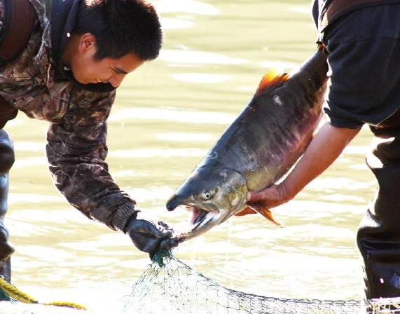 2025 Salmon Cons®(77)