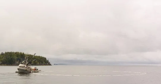 2025 Salmon Cons®(79)