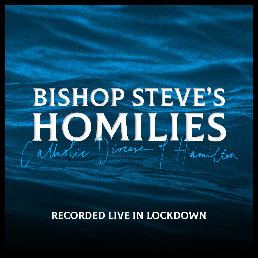 Bishop Steve’s Homilies