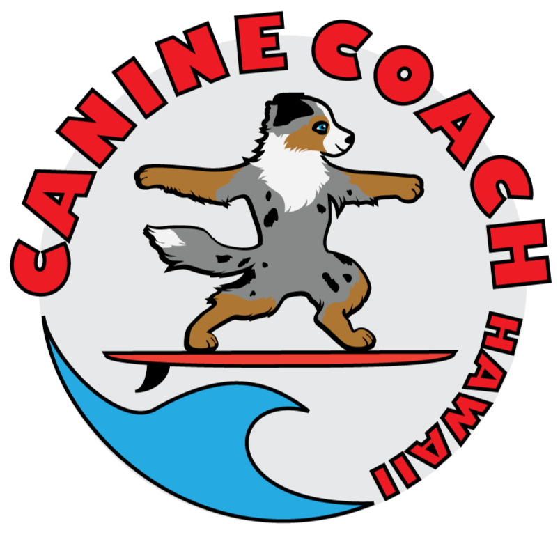 Canine Coach Hawaii
