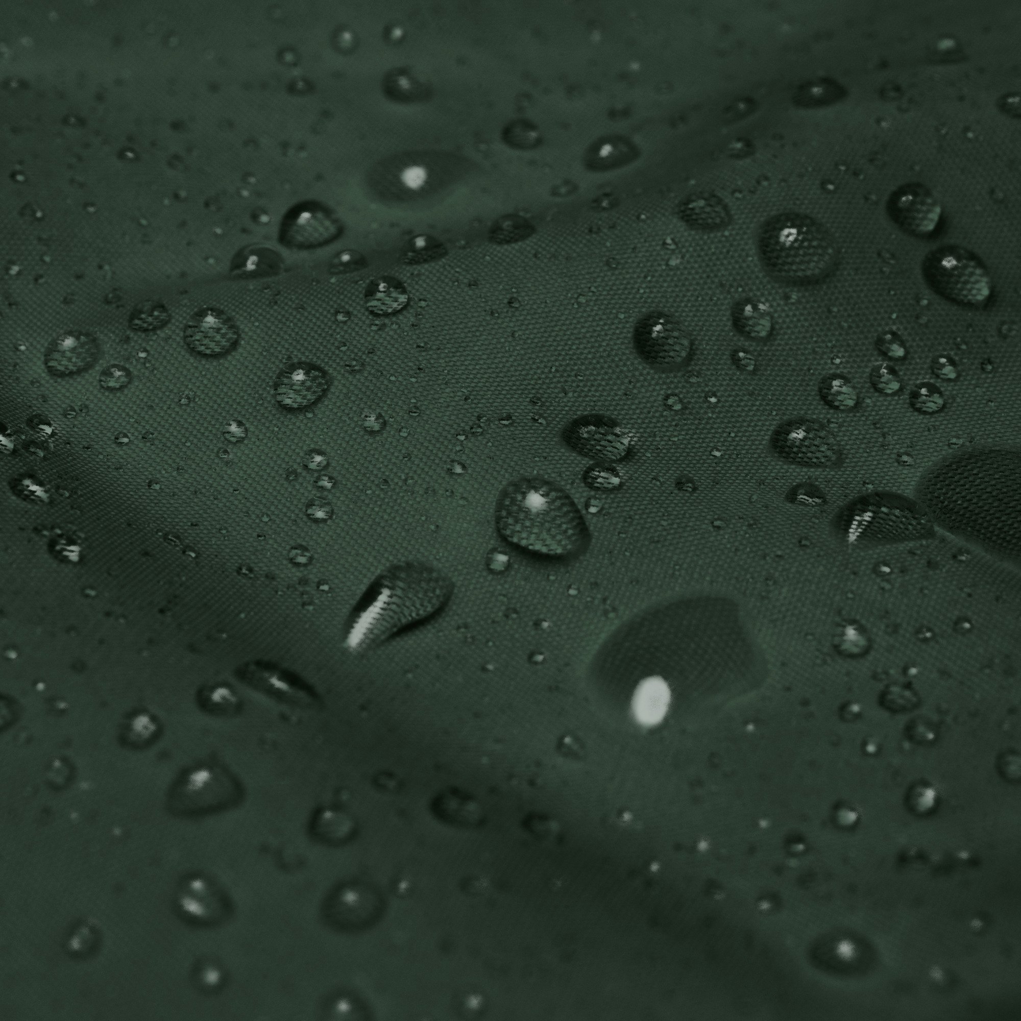 83E86918-8FD5-45C2-AAA1-61FF59703150.jpeg
