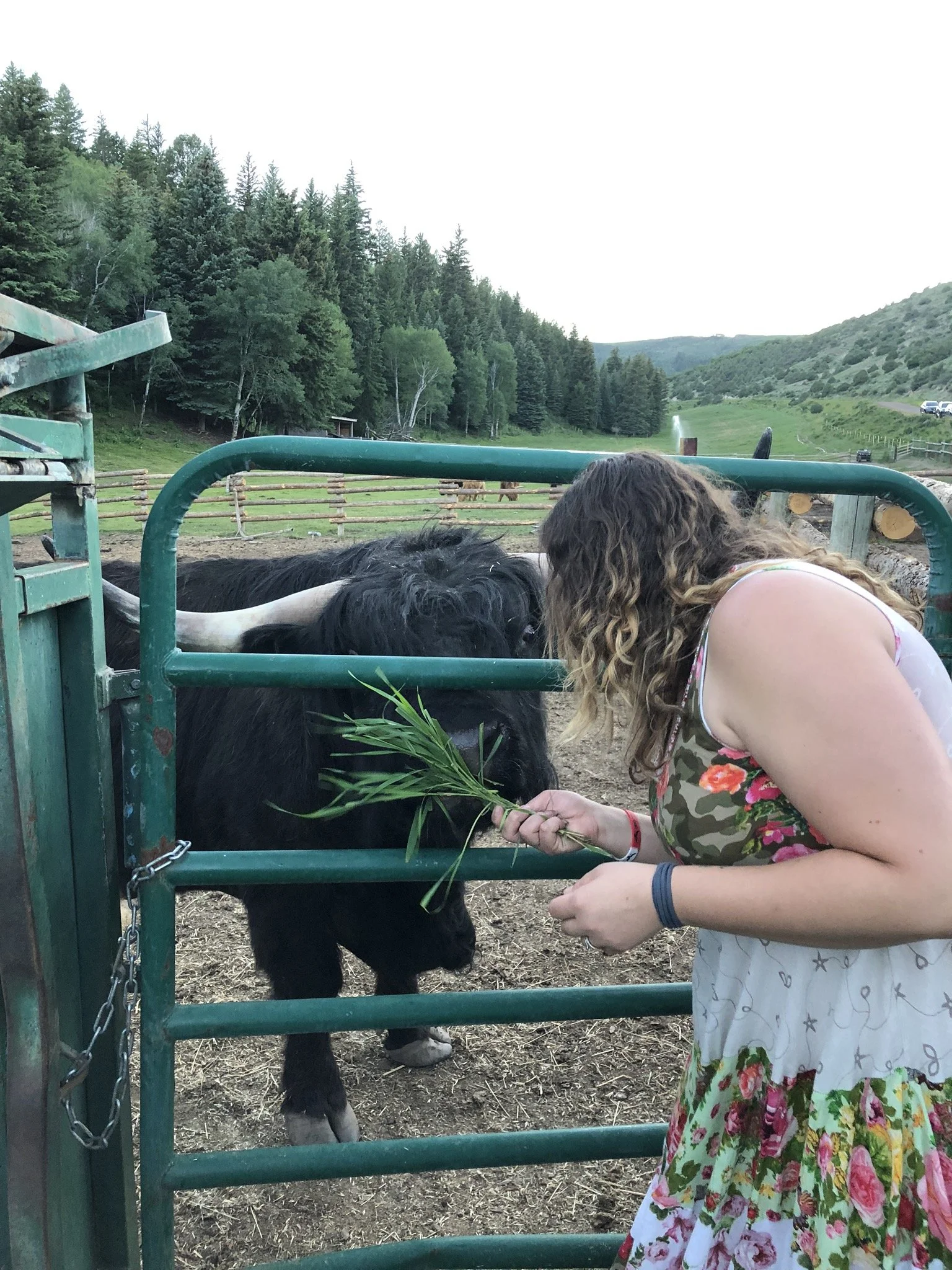 Book an Event — The Copper Bar Ranch