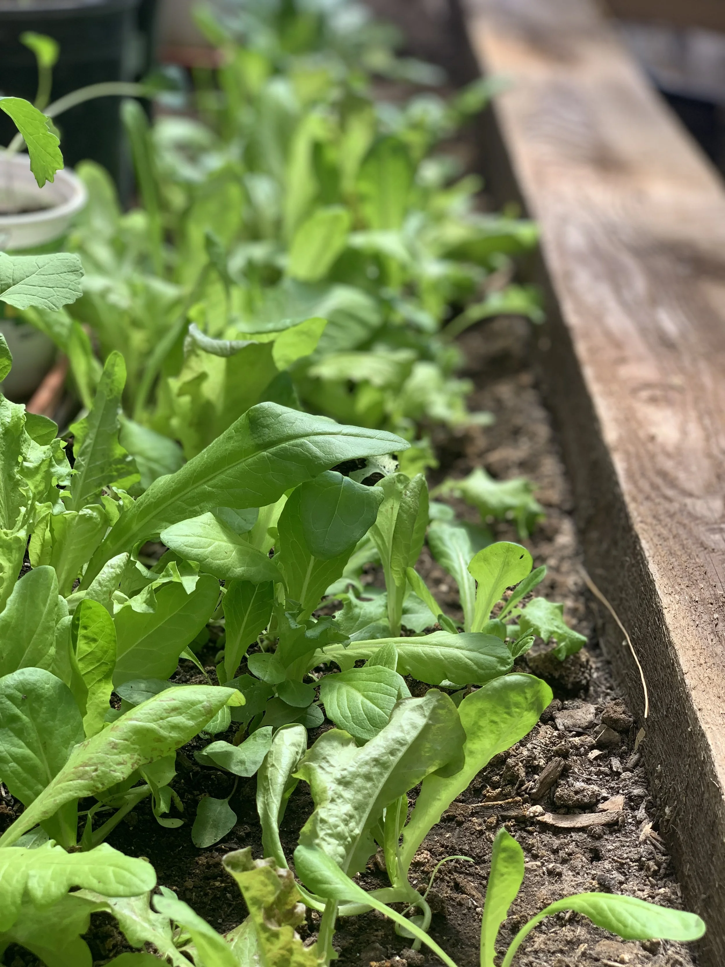 Scenery — The Copper Bar Ranch