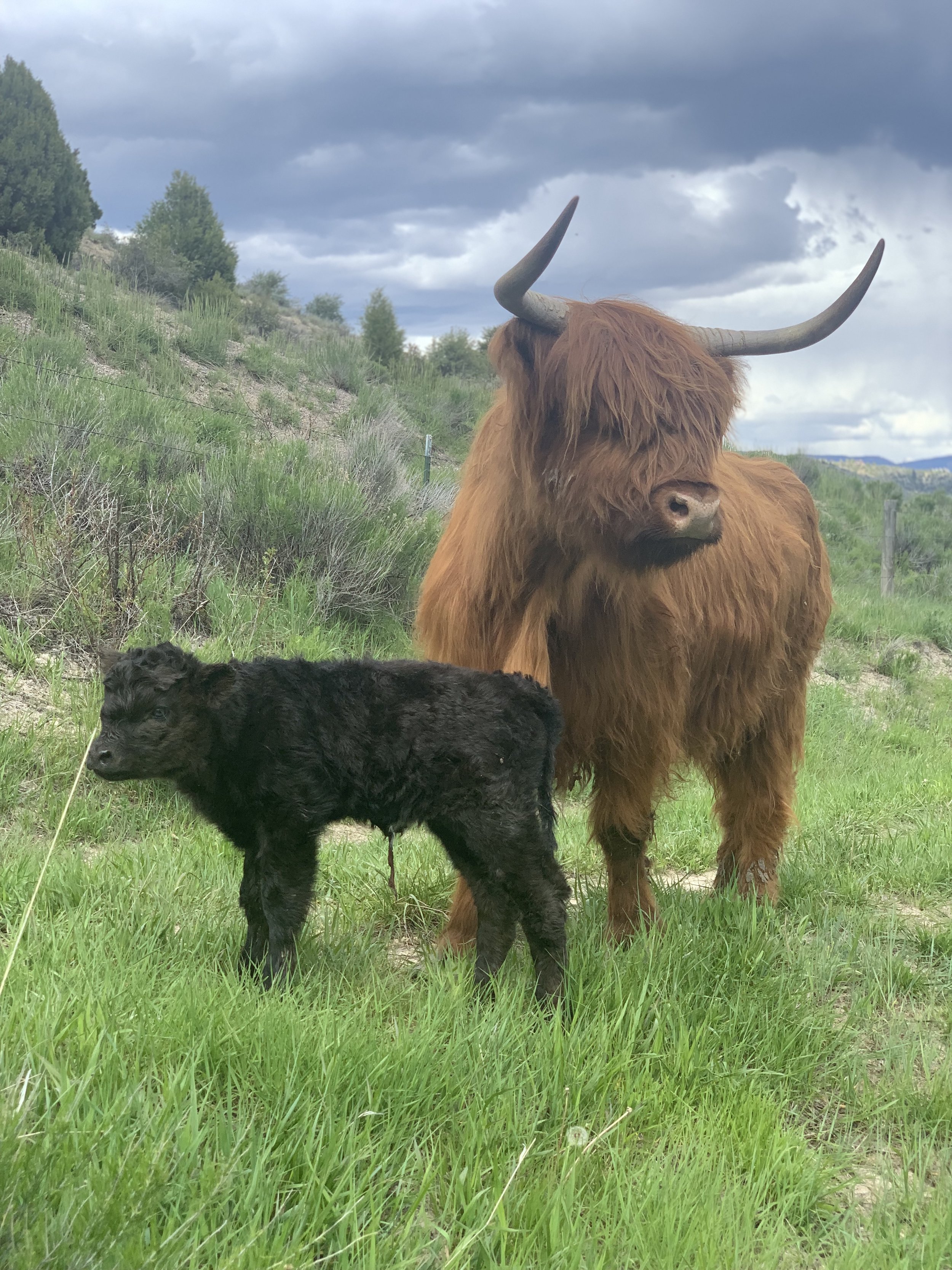 Scenery — The Copper Bar Ranch