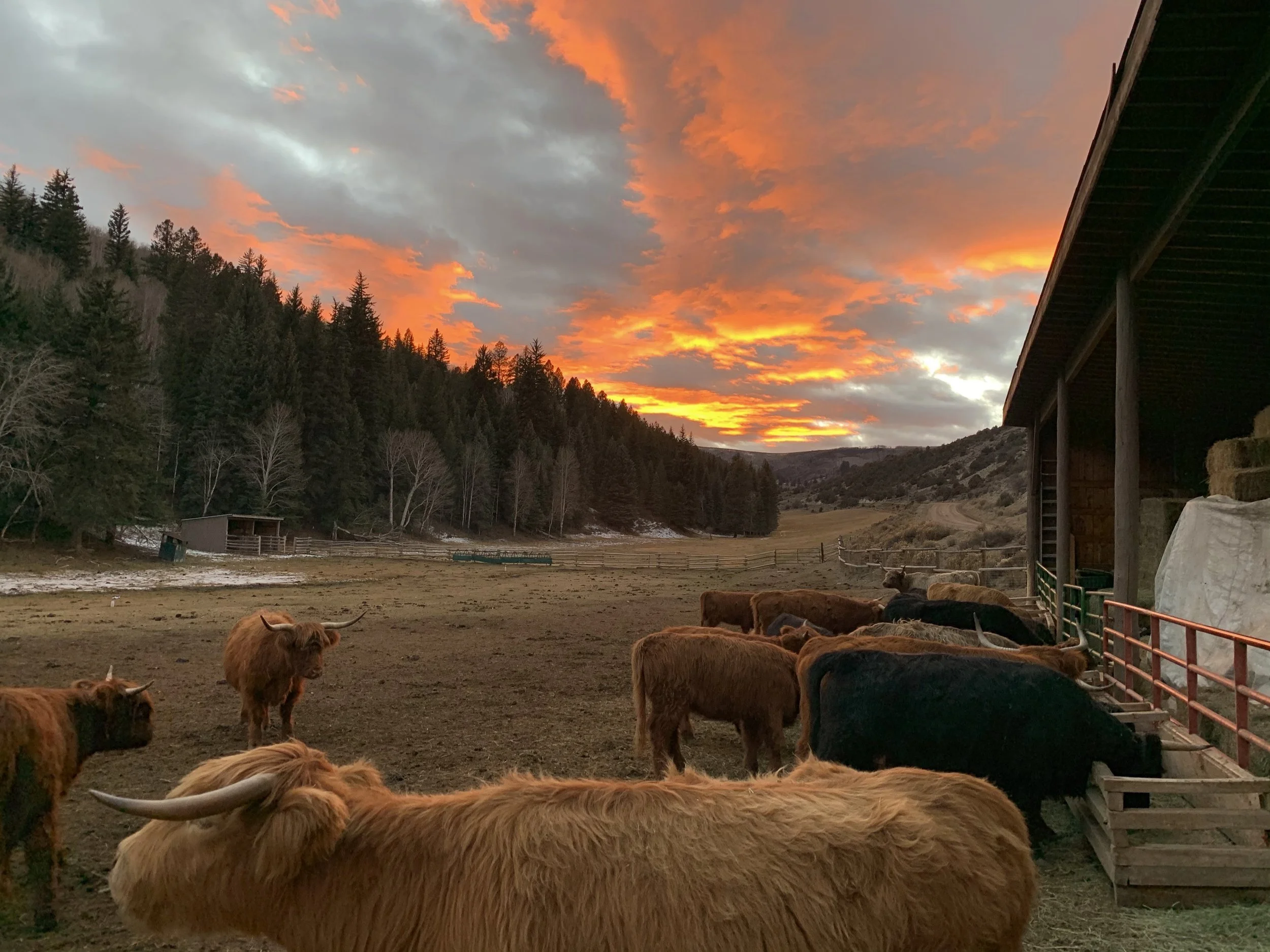 The Copper Bar Ranch