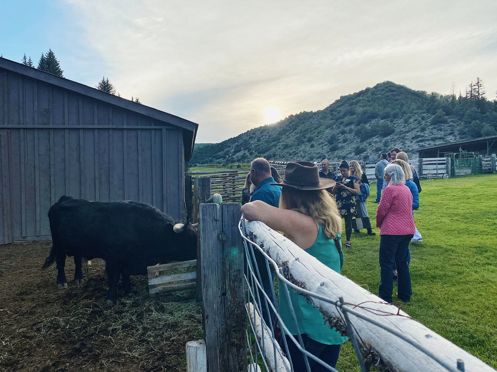 Book an Event — The Copper Bar Ranch