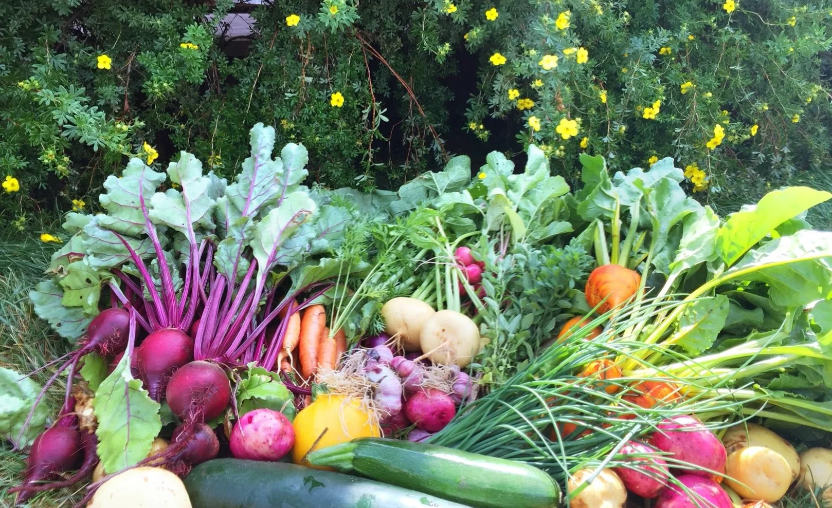 Scenery — The Copper Bar Ranch