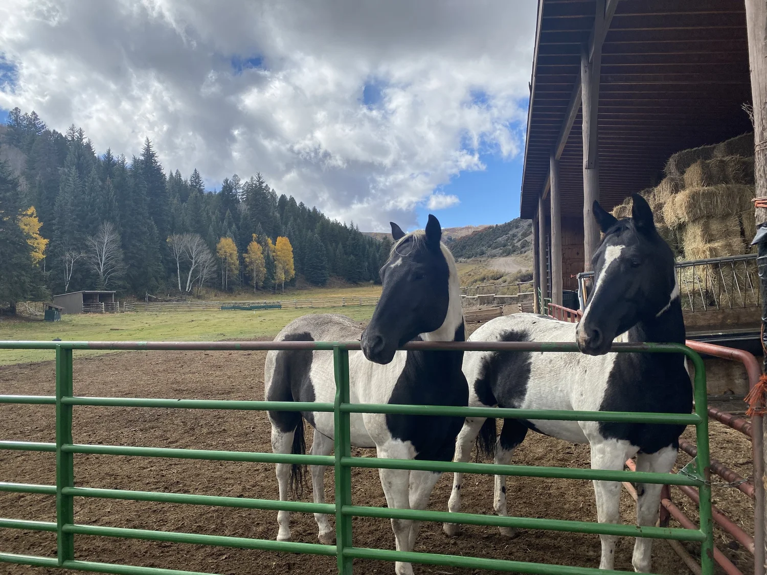 Scenery — The Copper Bar Ranch