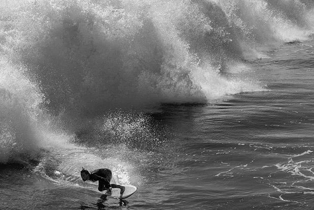 surf.jpg