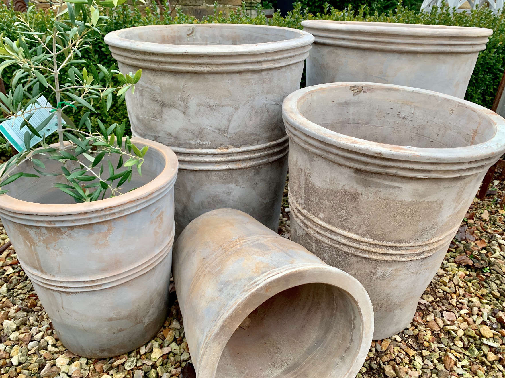 UP1 Antiqua terracotta Astra planters (available three sizes) $72-$149