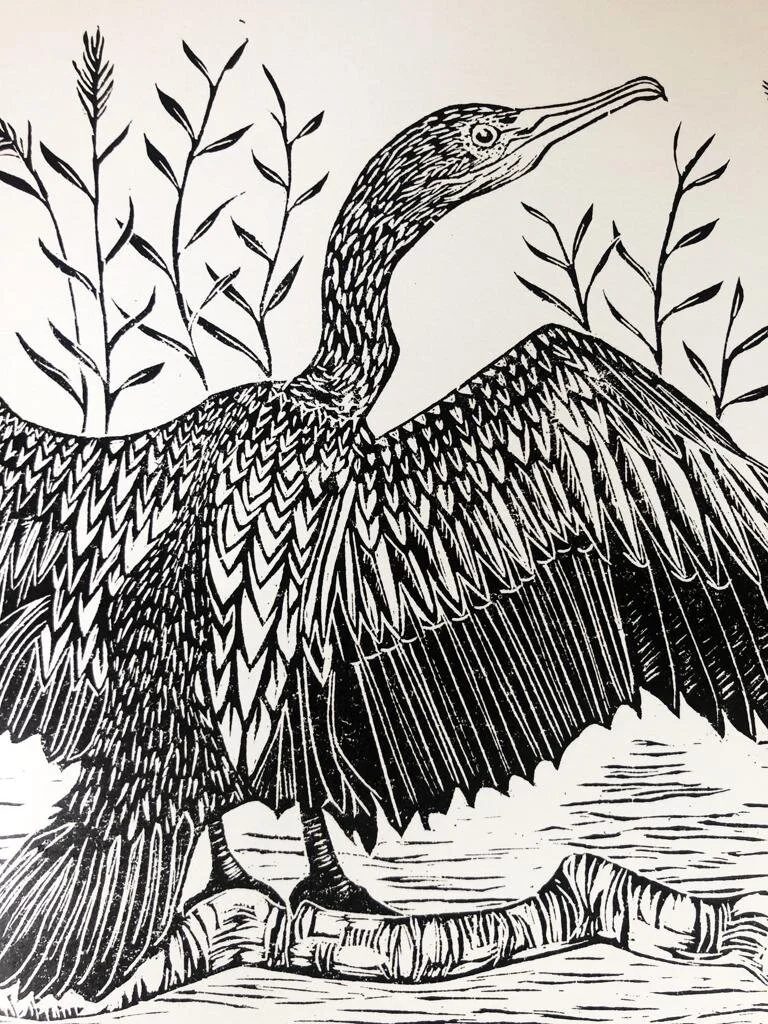 75C81579-2854-4930-A6D0-B14F20BA5B7C