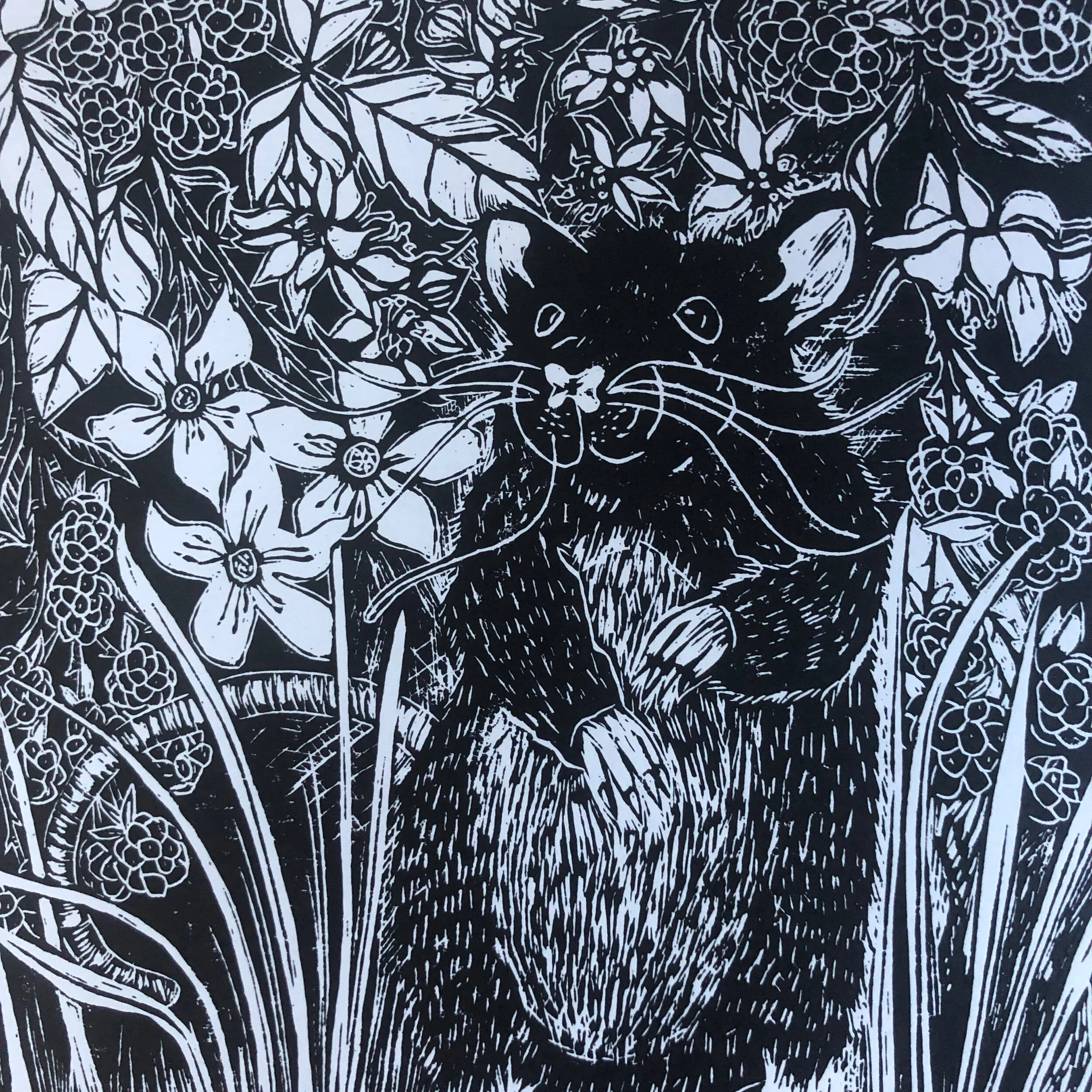 43525B70-13B0-4438-A819-D3C3813E17CF