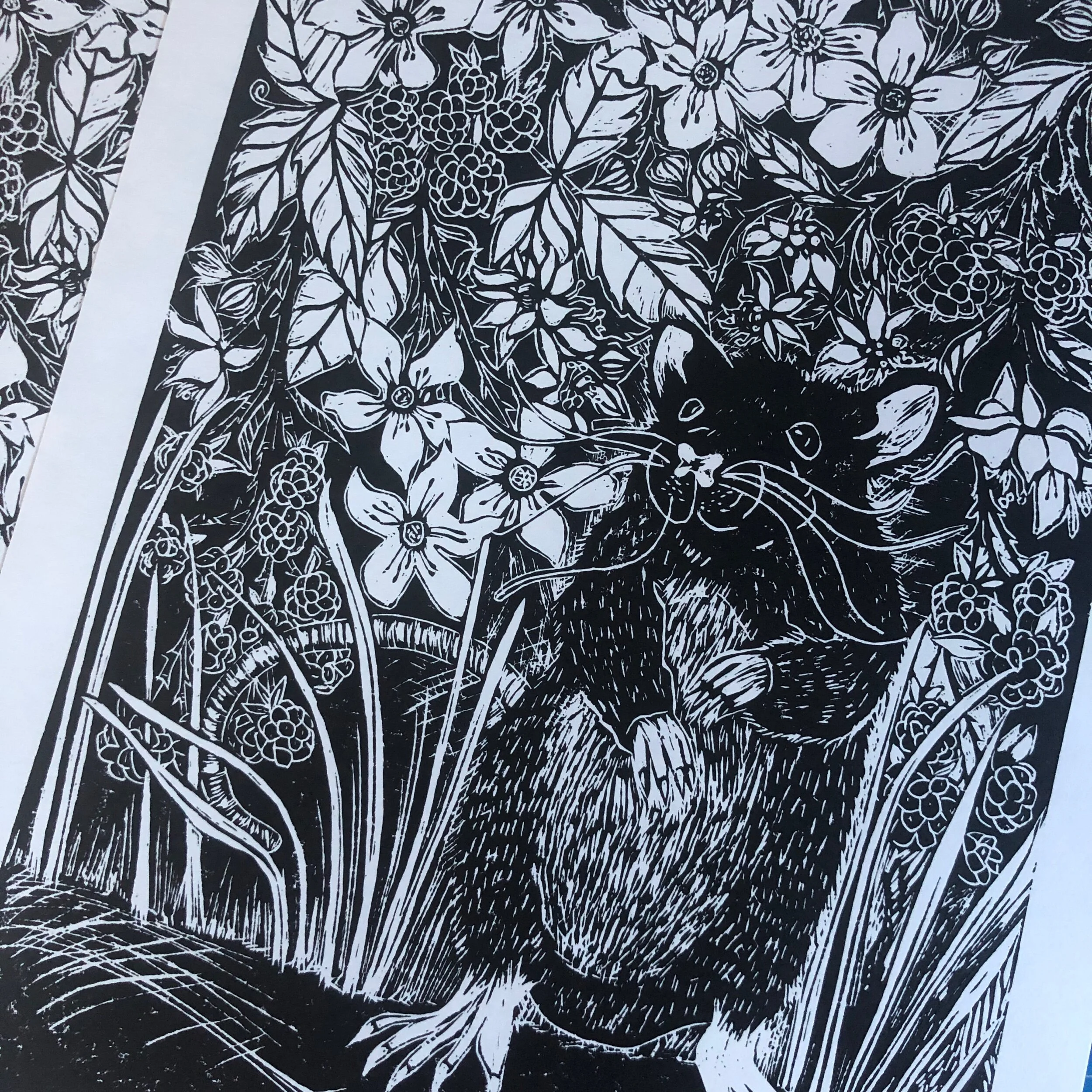 26499CB5-E43C-4E4C-A740-0988BD0D8C0C