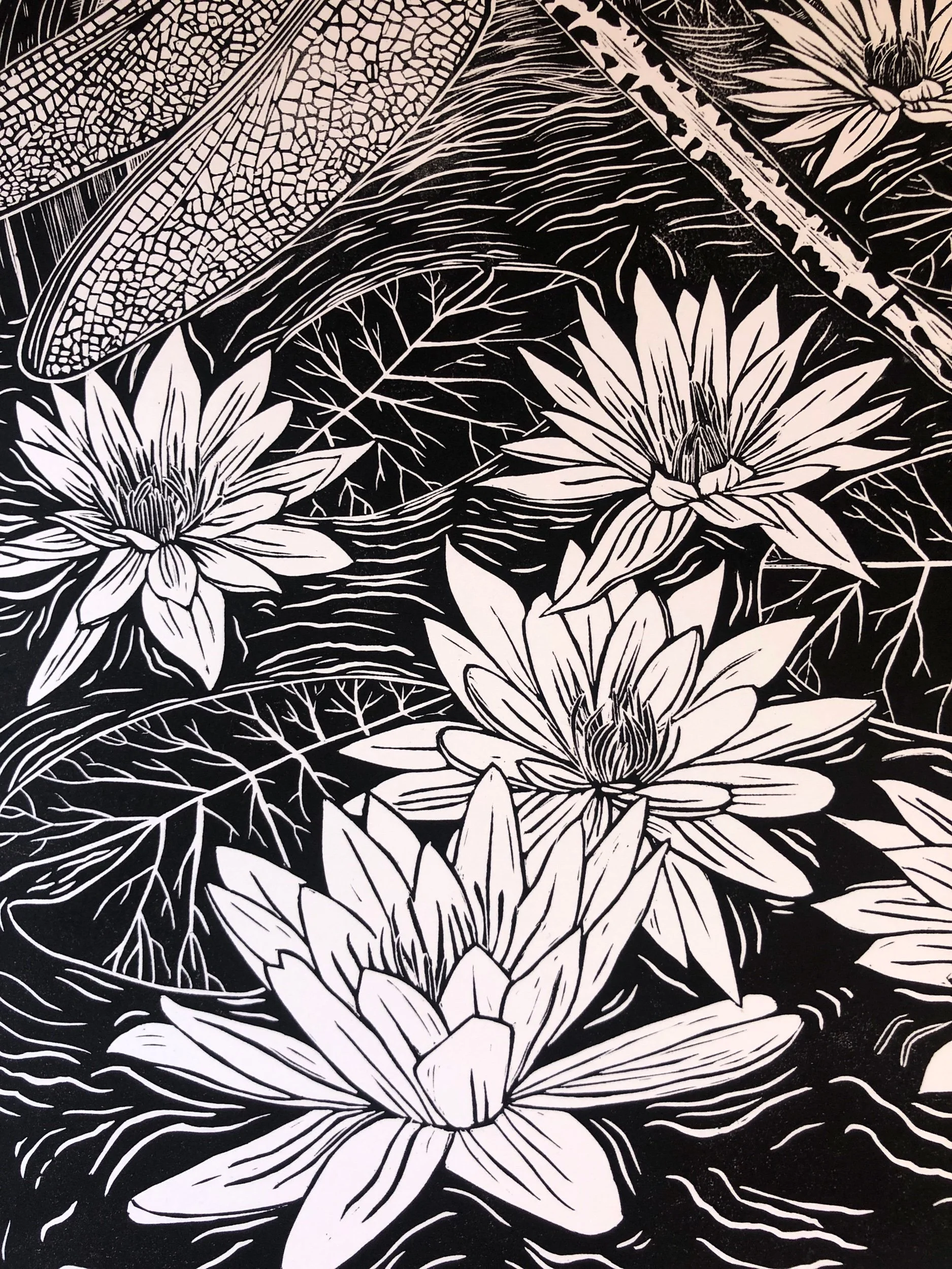 5551AF5E-27E1-4BB0-B5D9-313ED54AA36F