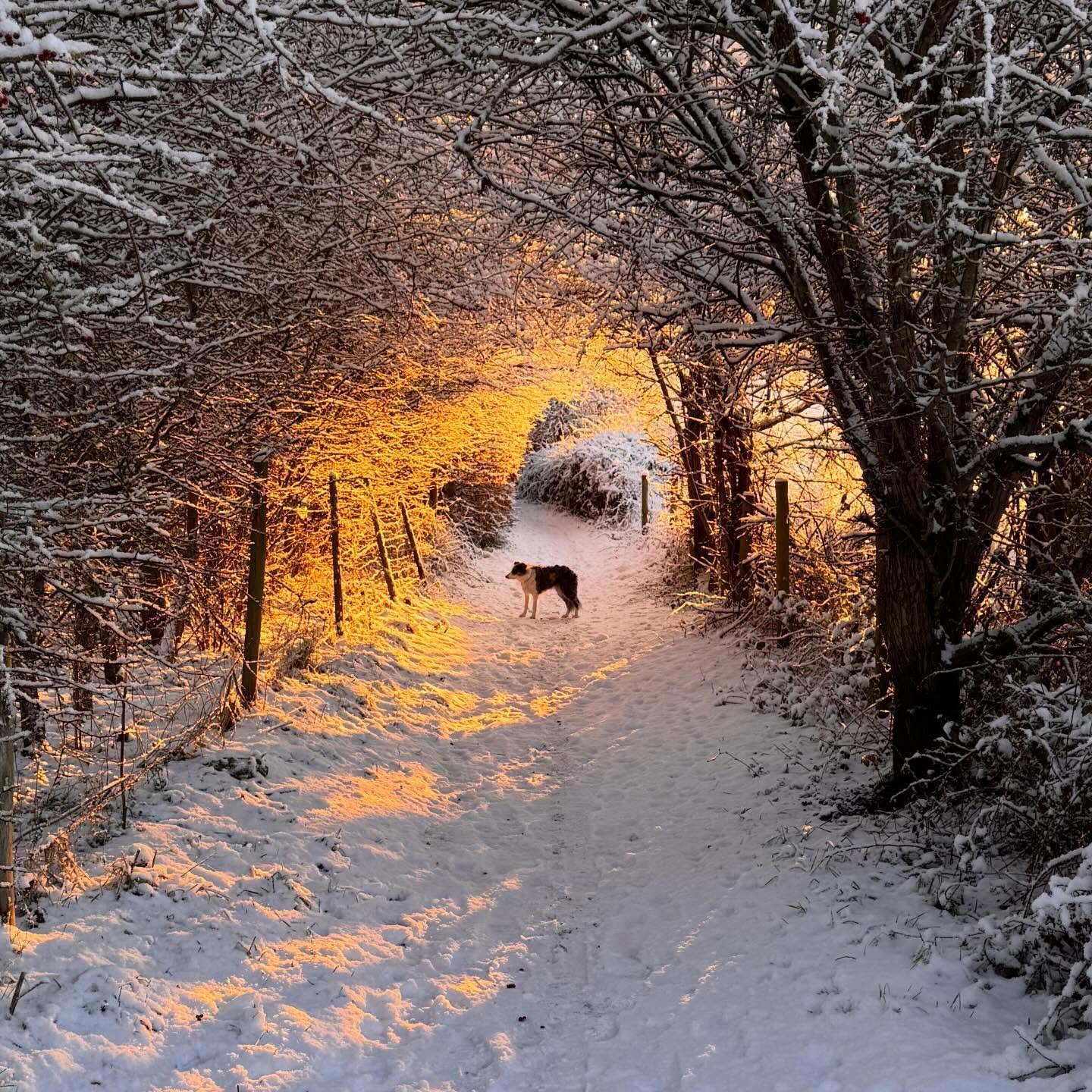 Keep safe everyone, hope you are all ok?