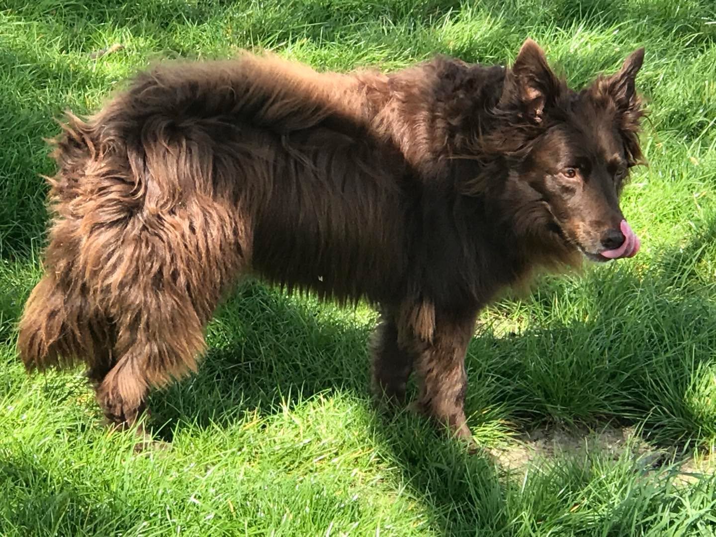 I still miss this bear so much&hellip;..