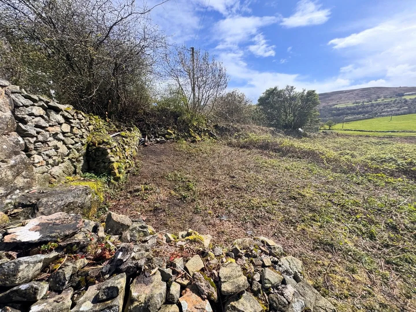 Bramble clearance has gone well today, a little levelling and we will ready to begin the office build&hellip;