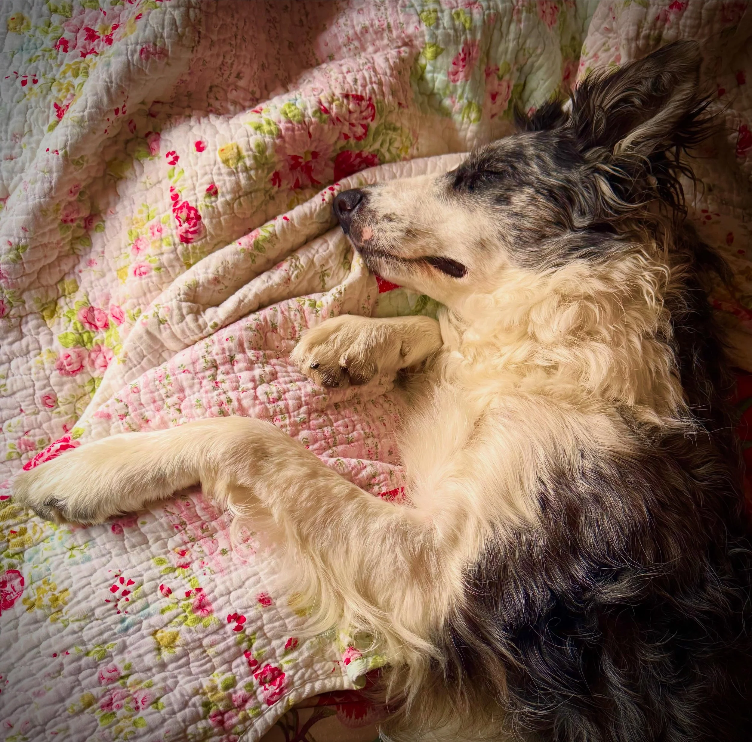 Weekends at Rose Cottage&hellip;&hellip;