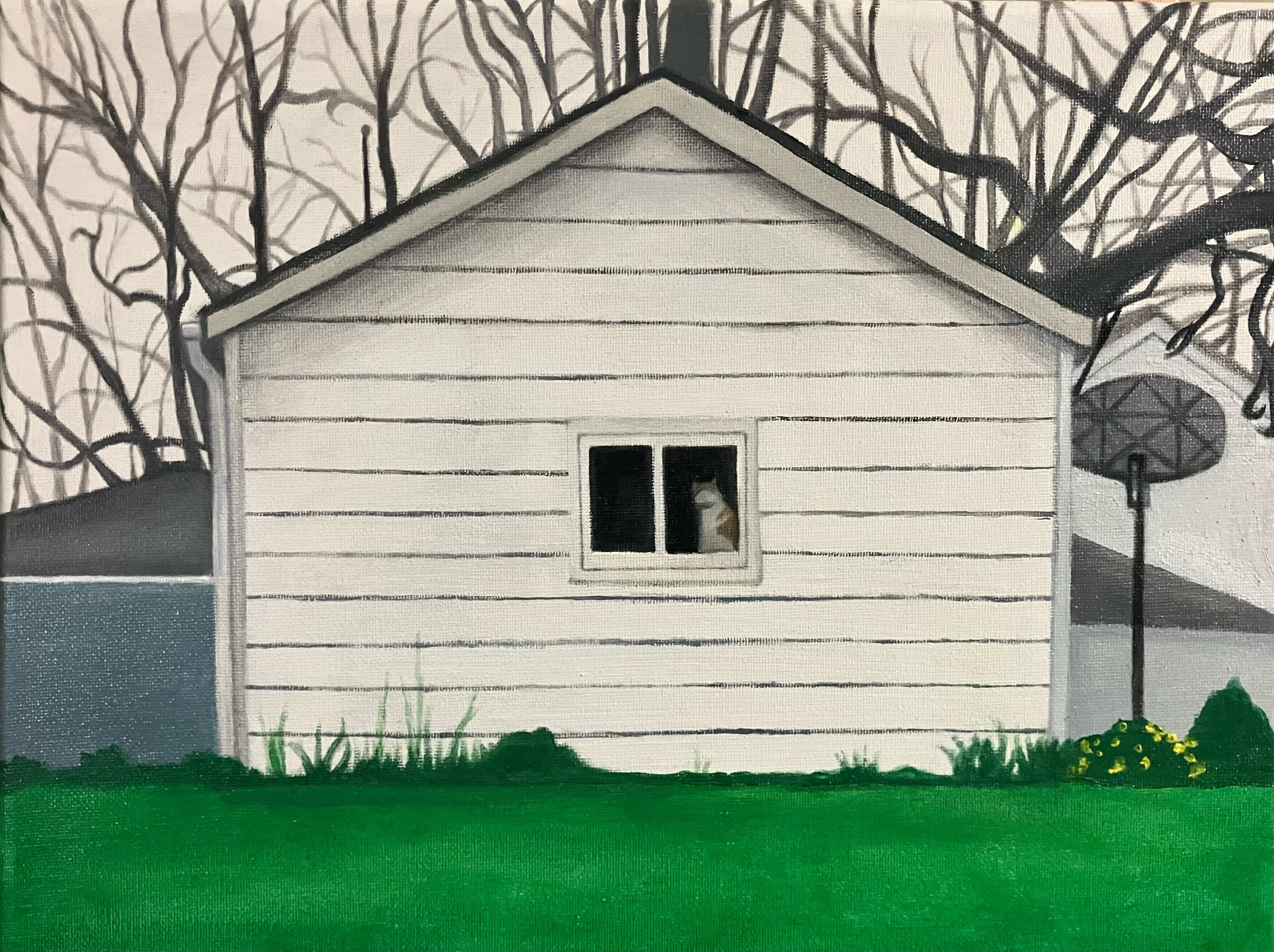 Guard Cat on 11th St. in Noblesville, oil on 11" x 14" canvas, 2026