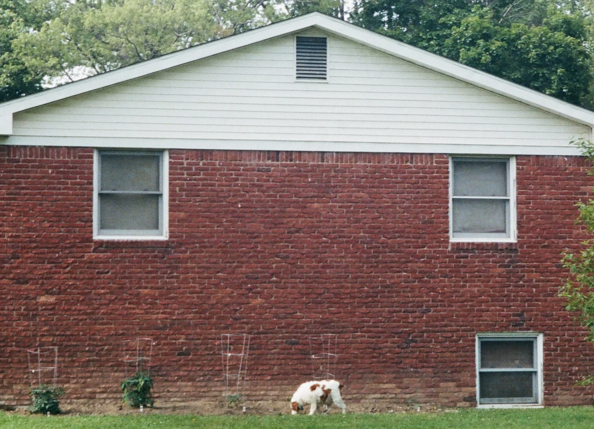 May 2021, 35mm film