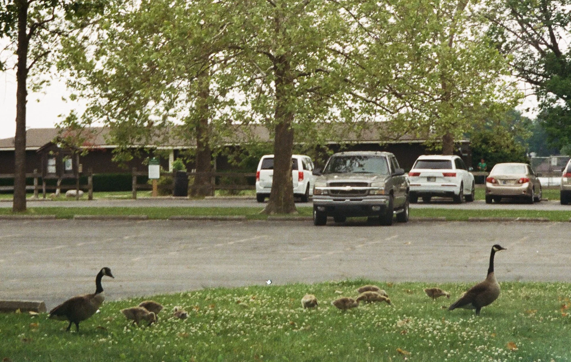 June 2021, 35mm film