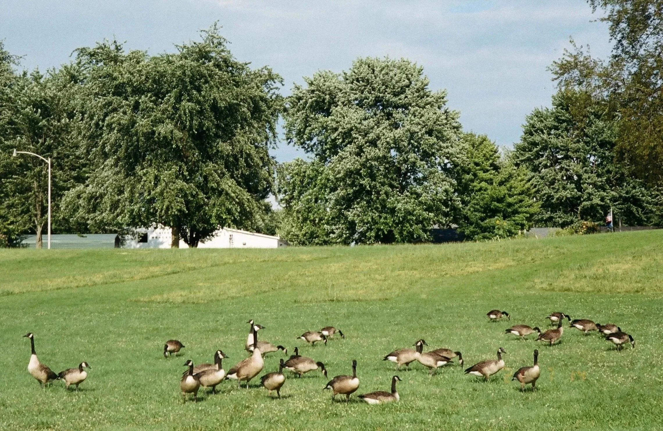 July 2021, 35mm film
