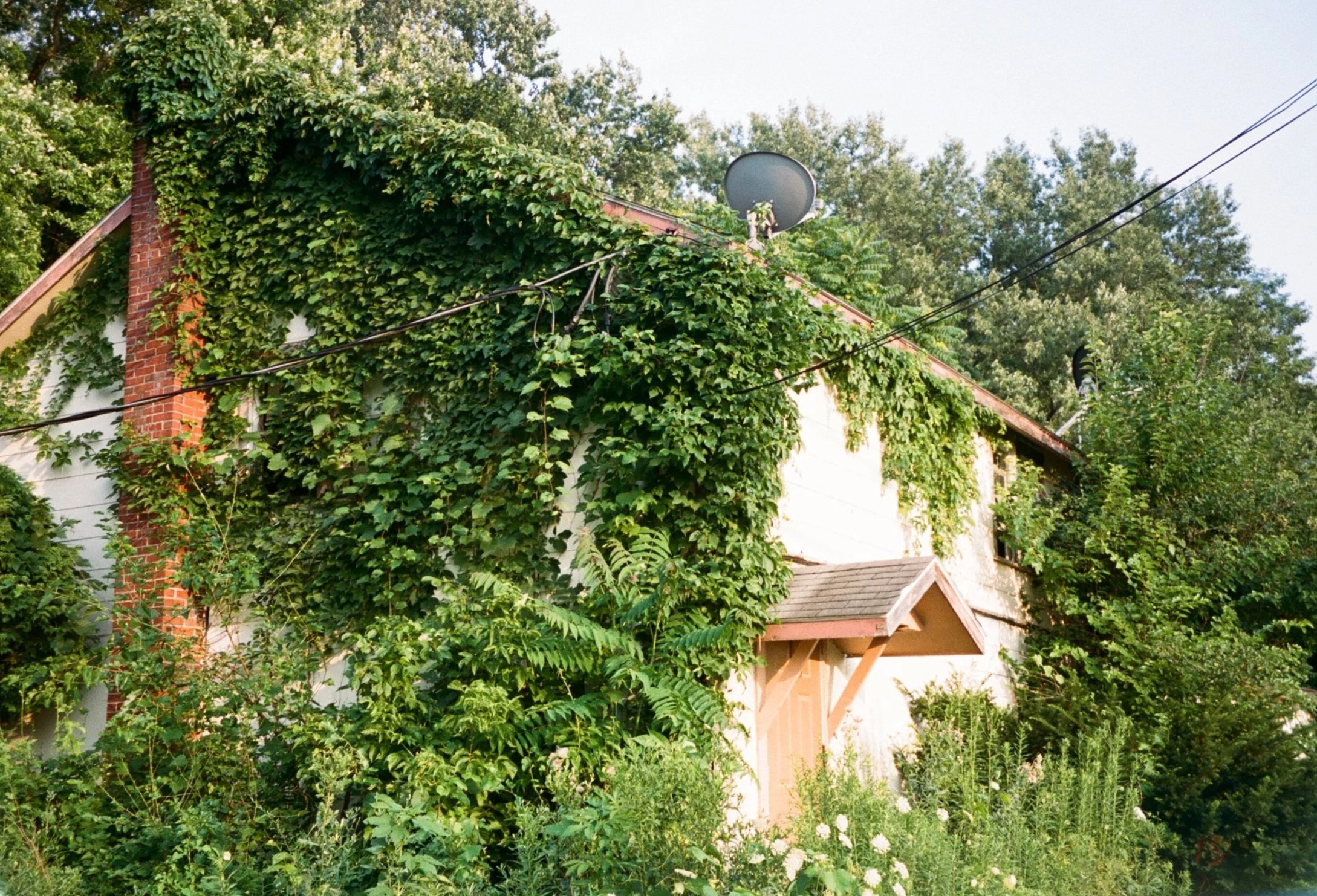 Westfield, IN, July 2021, 35mm film