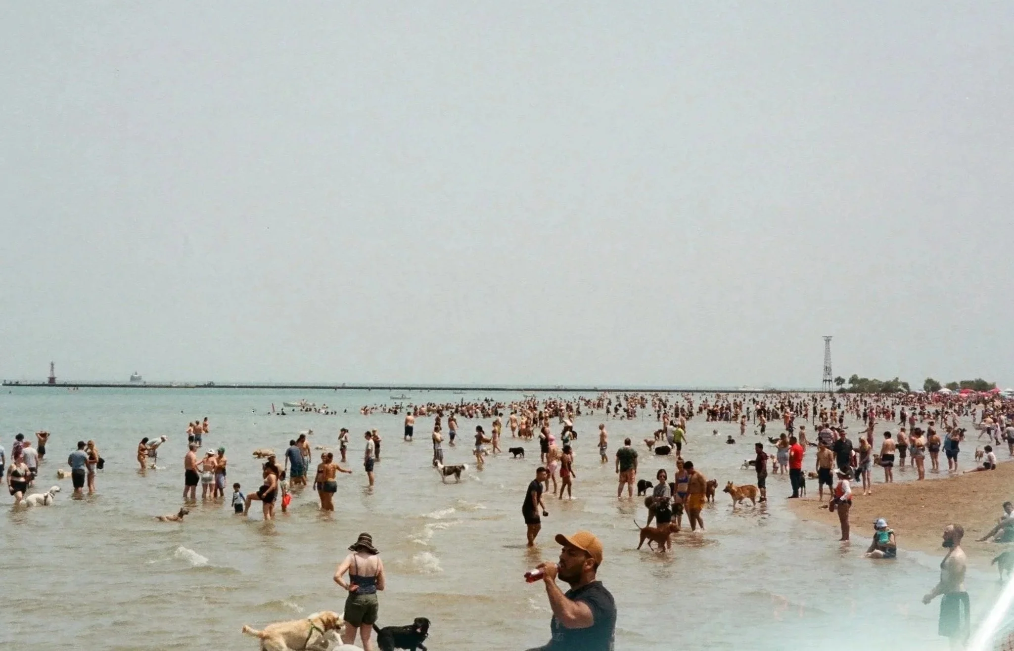 Belmont Harbor in Chicago, IL, July 2021, 35mm film