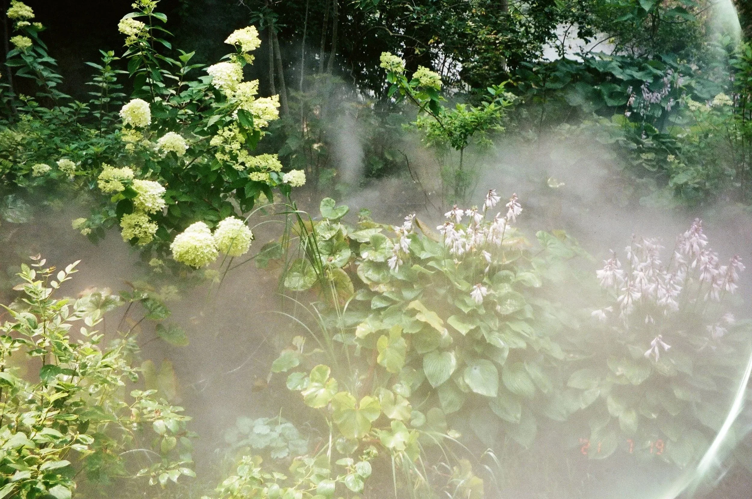 July 2021, 35mm film