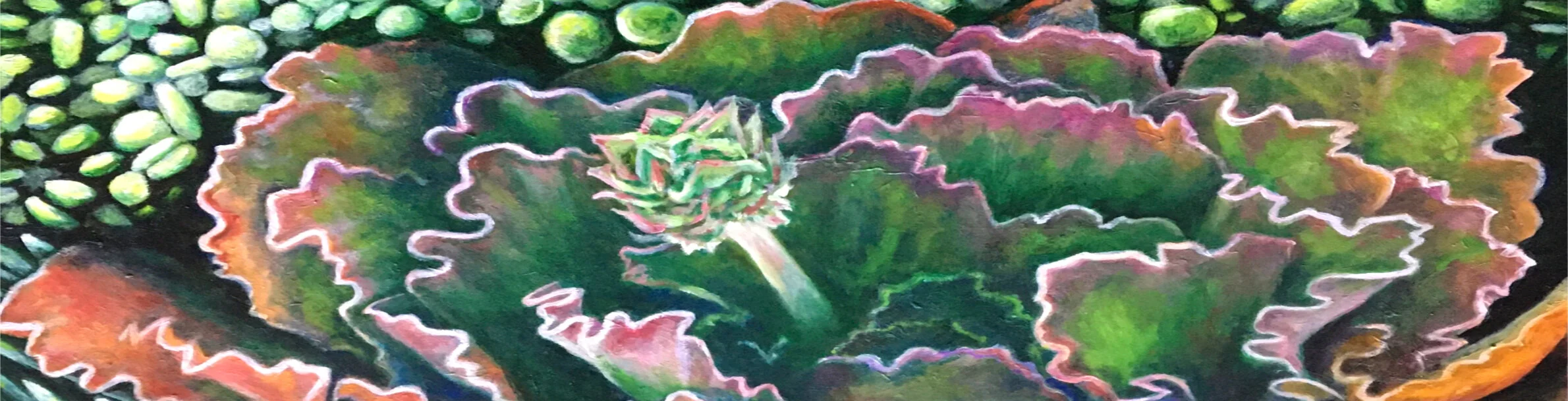 Banner.jpg