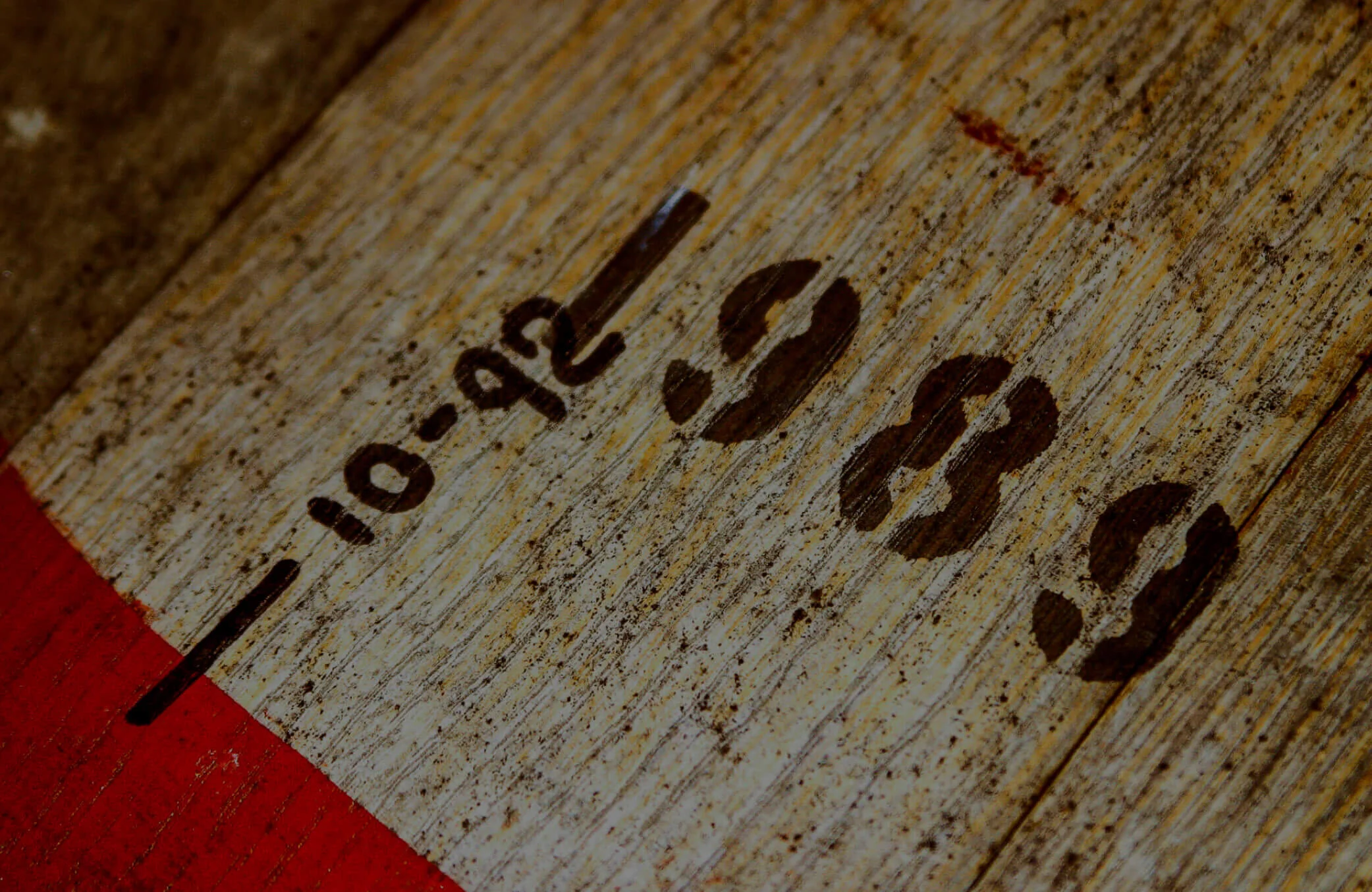 BBW Banner Grapics.jpg