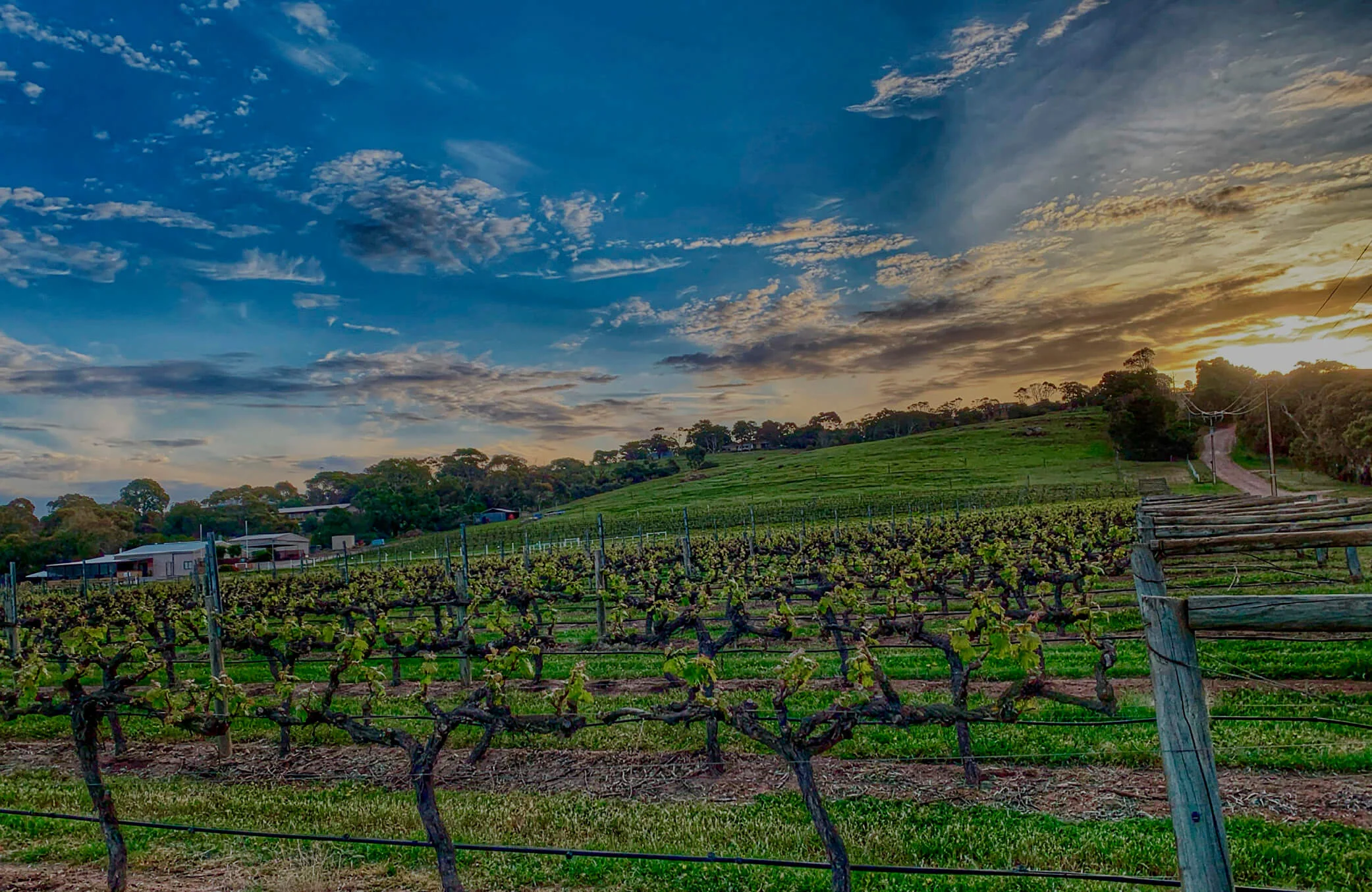 BBW Banner Grapics8.jpg