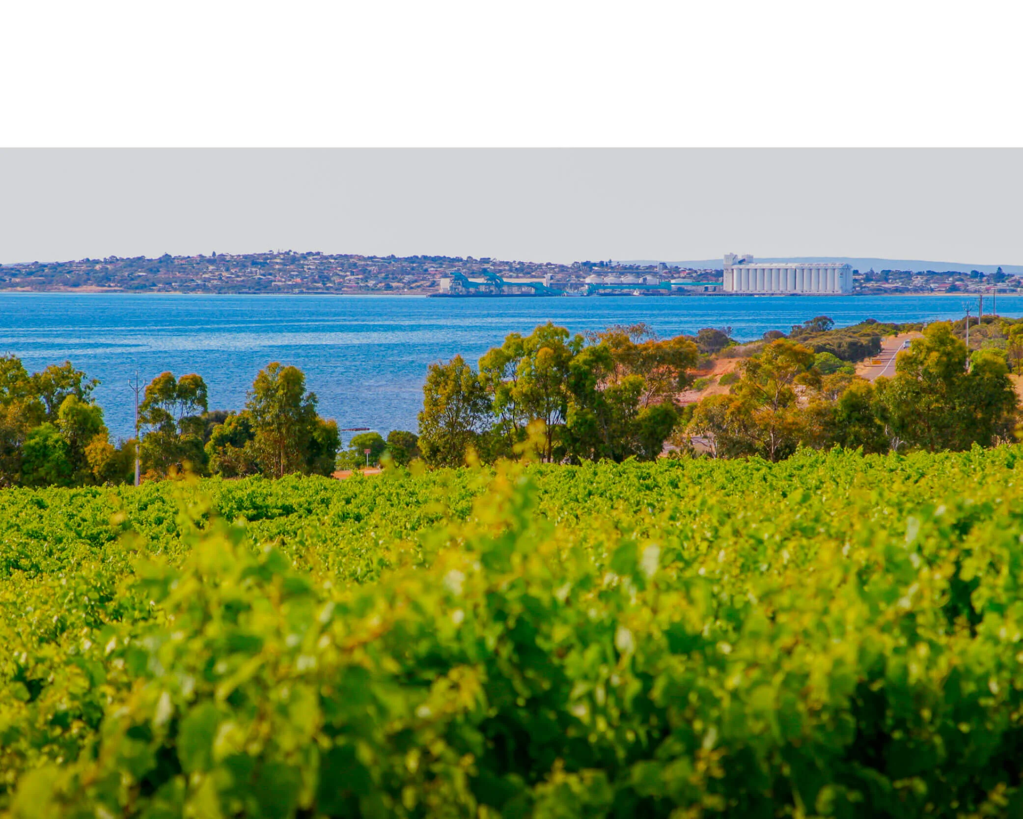 BBW Contact Banner.jpg