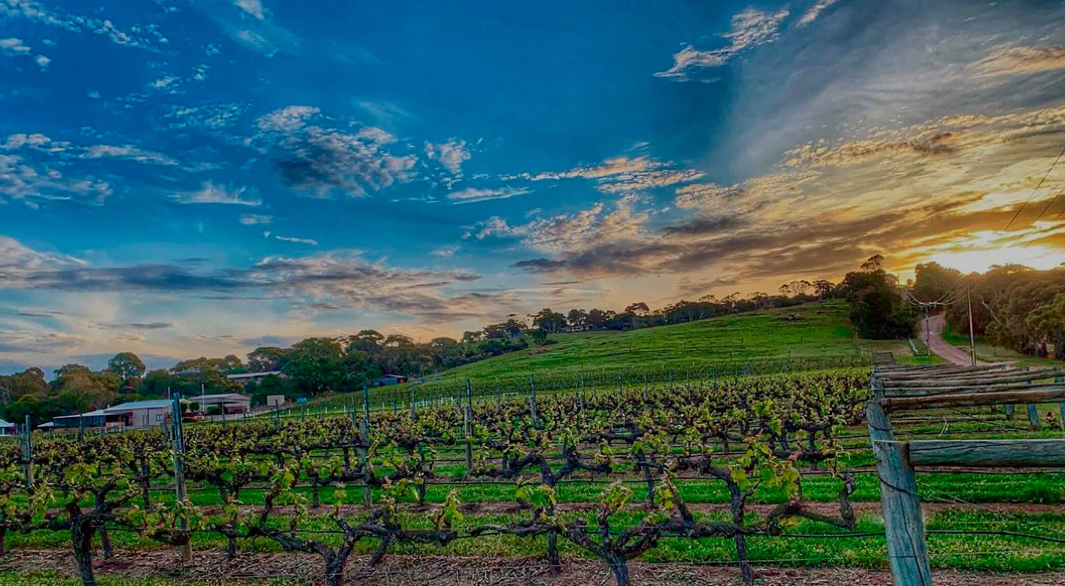 Boston Bay Wines Port Lincoln Winery