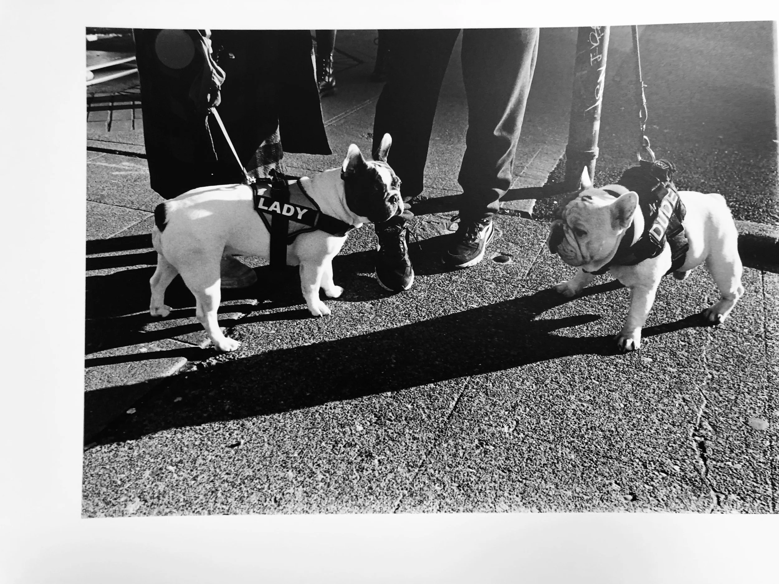 IMG_4024 copy.jpeg