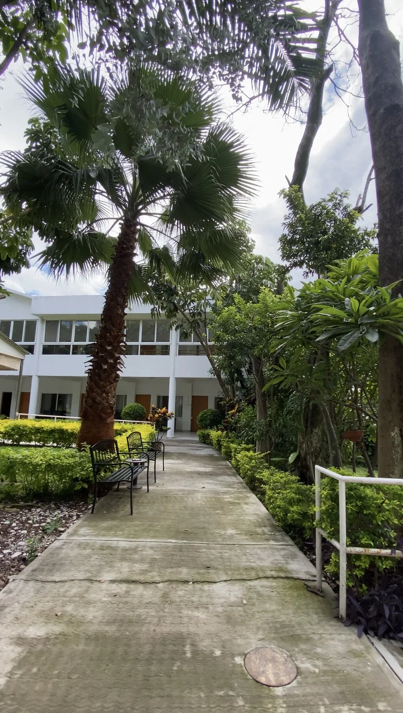 Bienestar en Medio de la Naturaleza: Cómo los Jardines Benefician a los Adultos Mayores