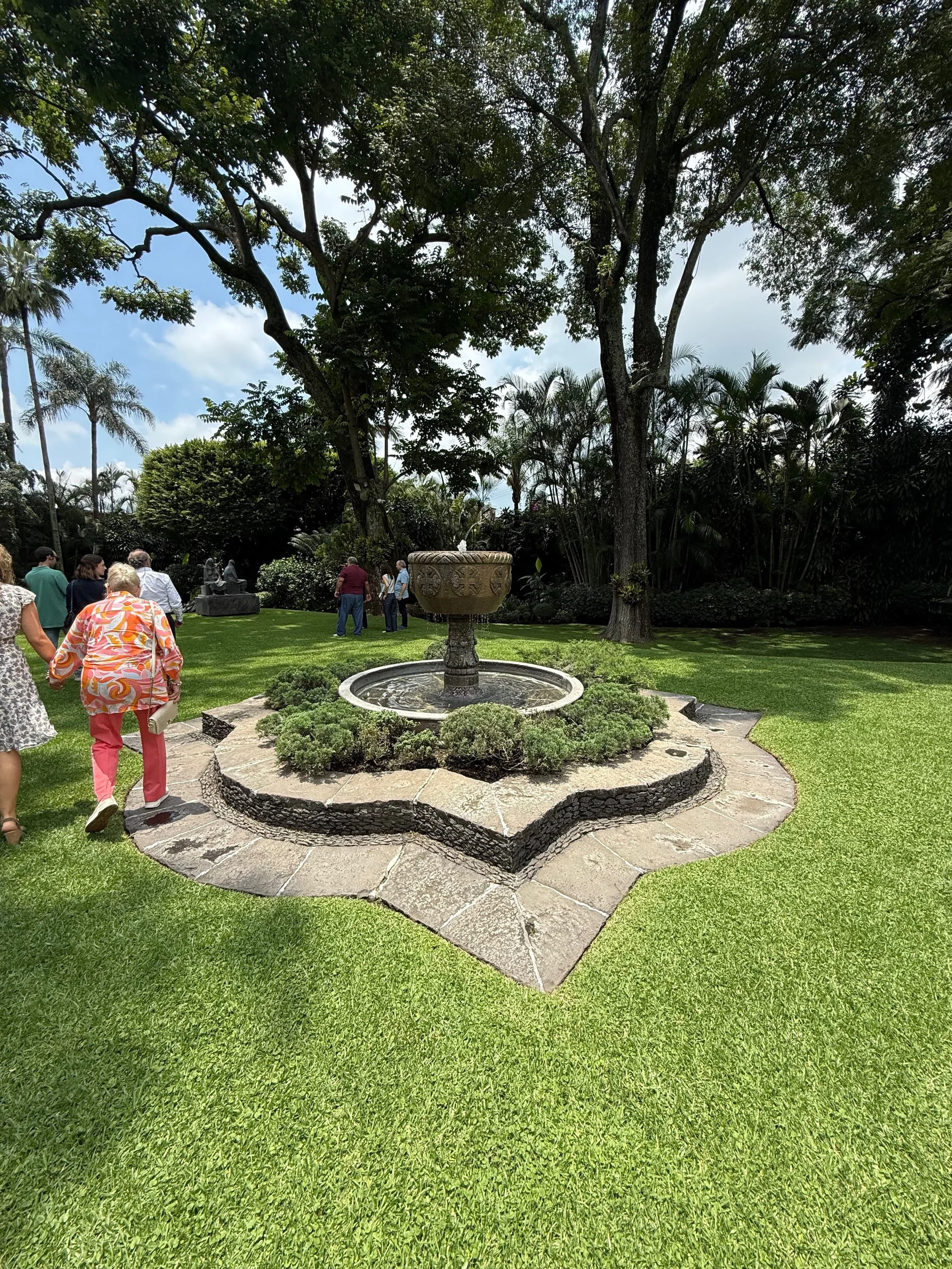 Cuidado geriátrico integral con calidez