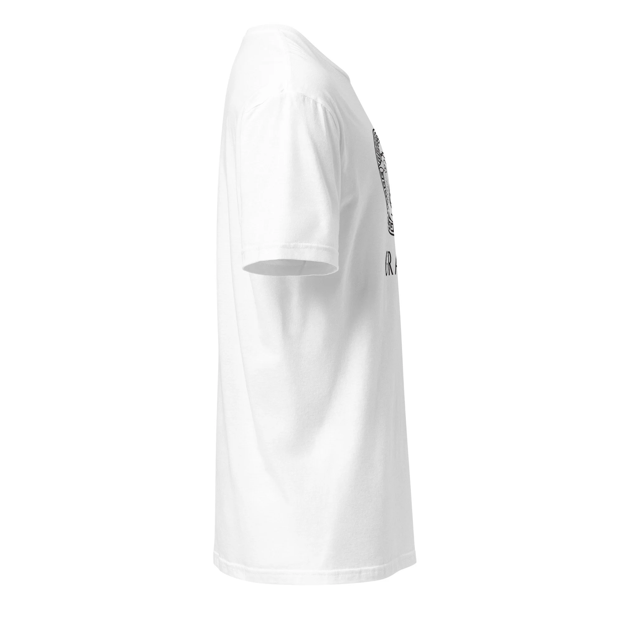 unisex-basic-softstyle-t-shirt-white-right-6a46fd2597f86.jpg