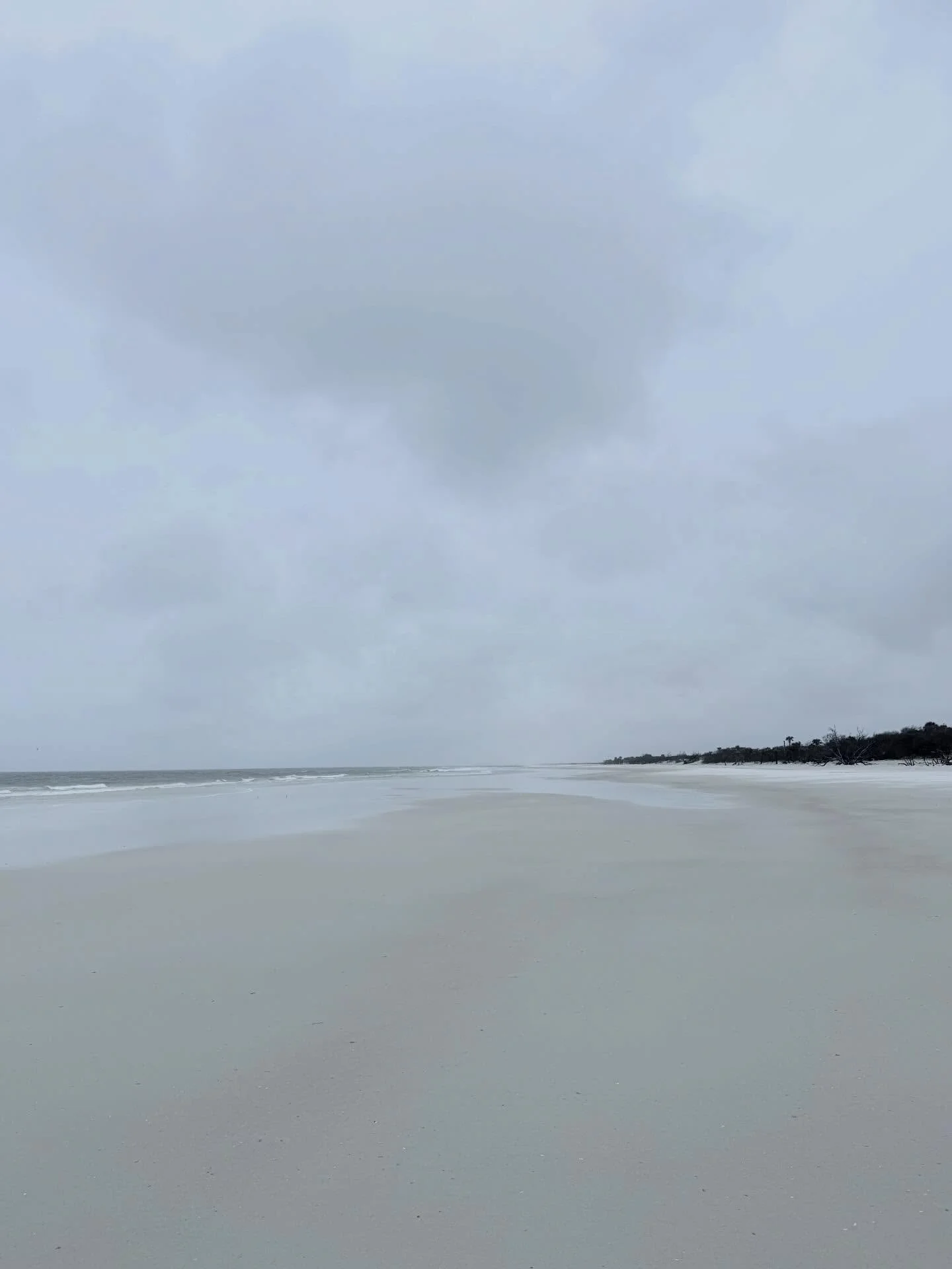 first hike of 2026 🌧️
coincidentally on a new moon
it was nice &amp; cold &amp; wet &amp; not a human soul was to be found, aside from us 
accompanied by my hermana Elsie,
we gave some offerings to the oceans.

2025 was a tough year for me and comin