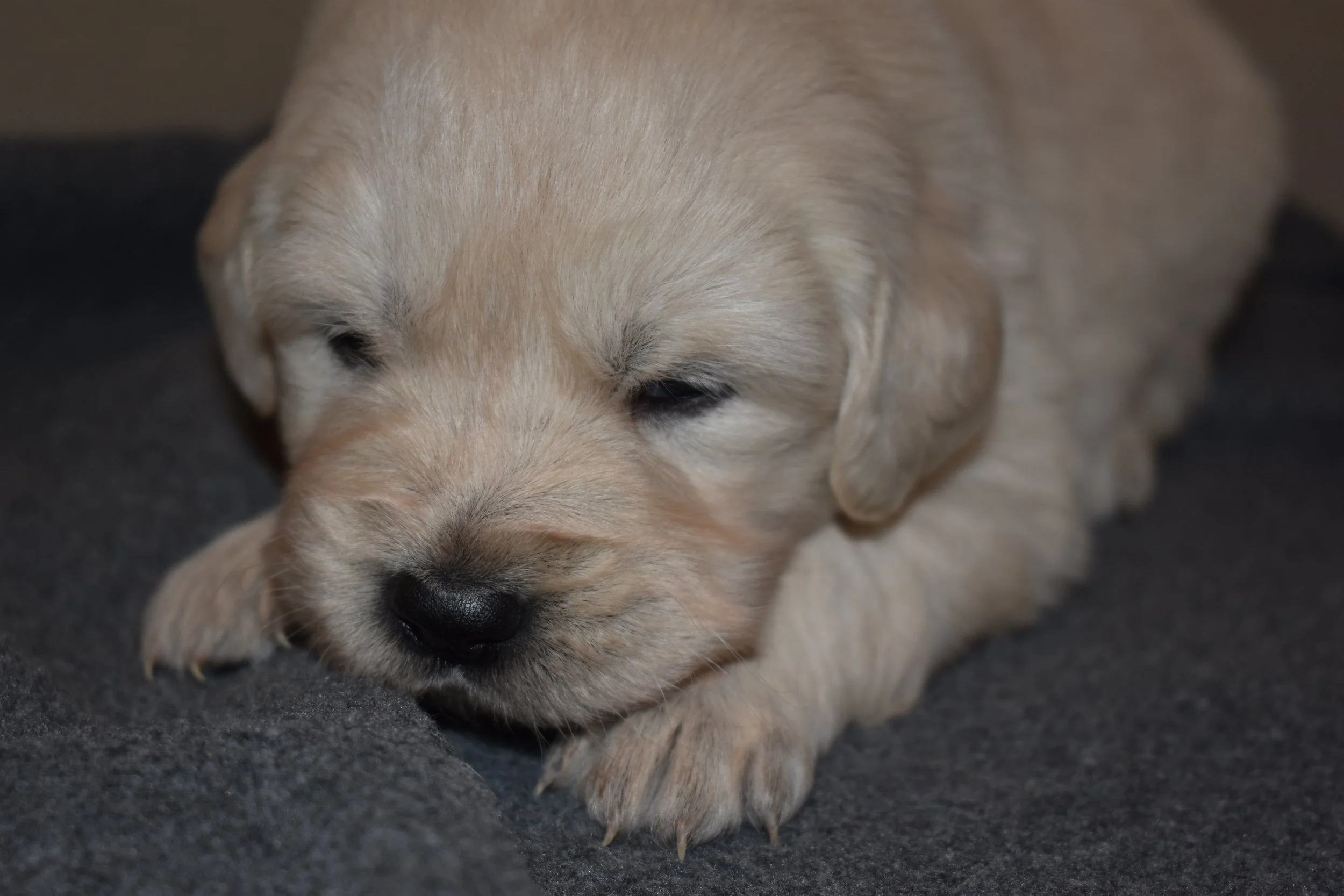 DSC_0051.JPG