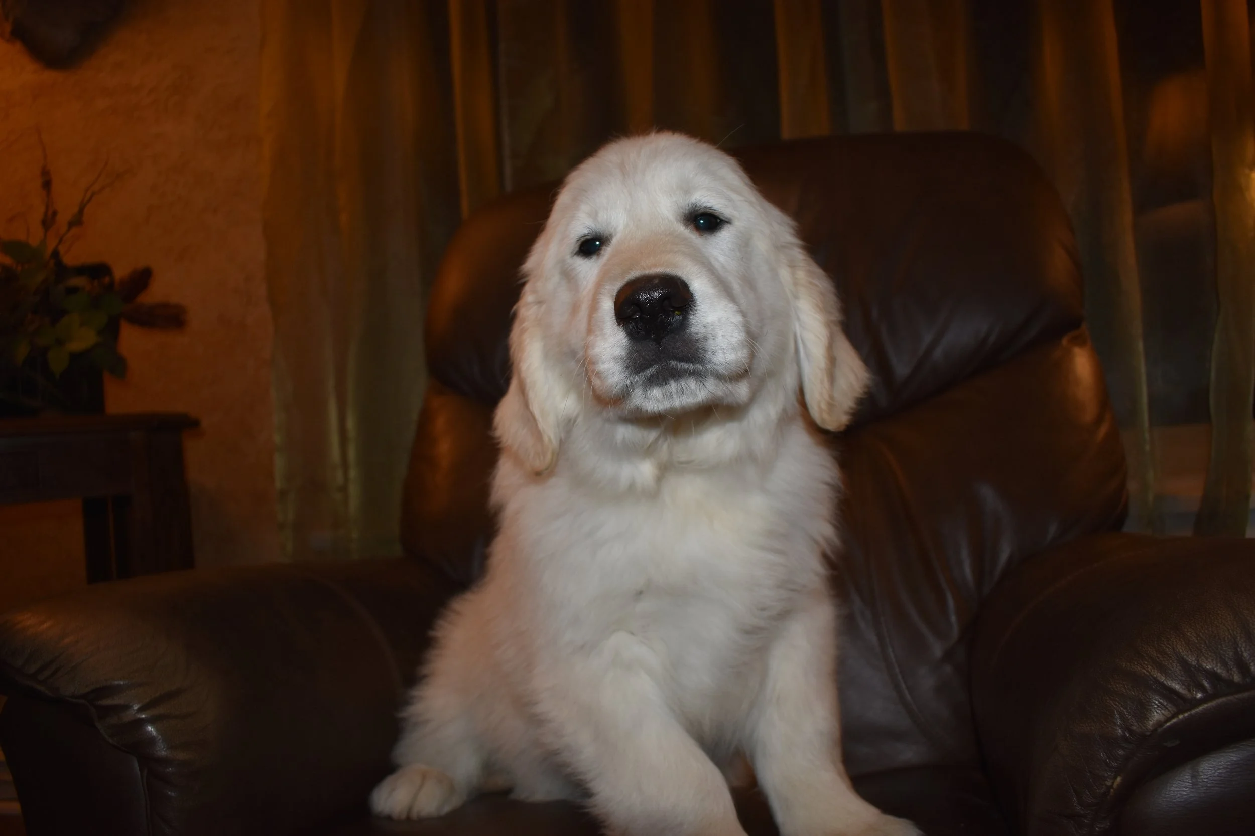 DSC_0177.JPG