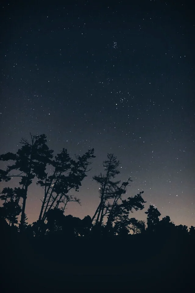 Berkeley's Night by Song (Copy)