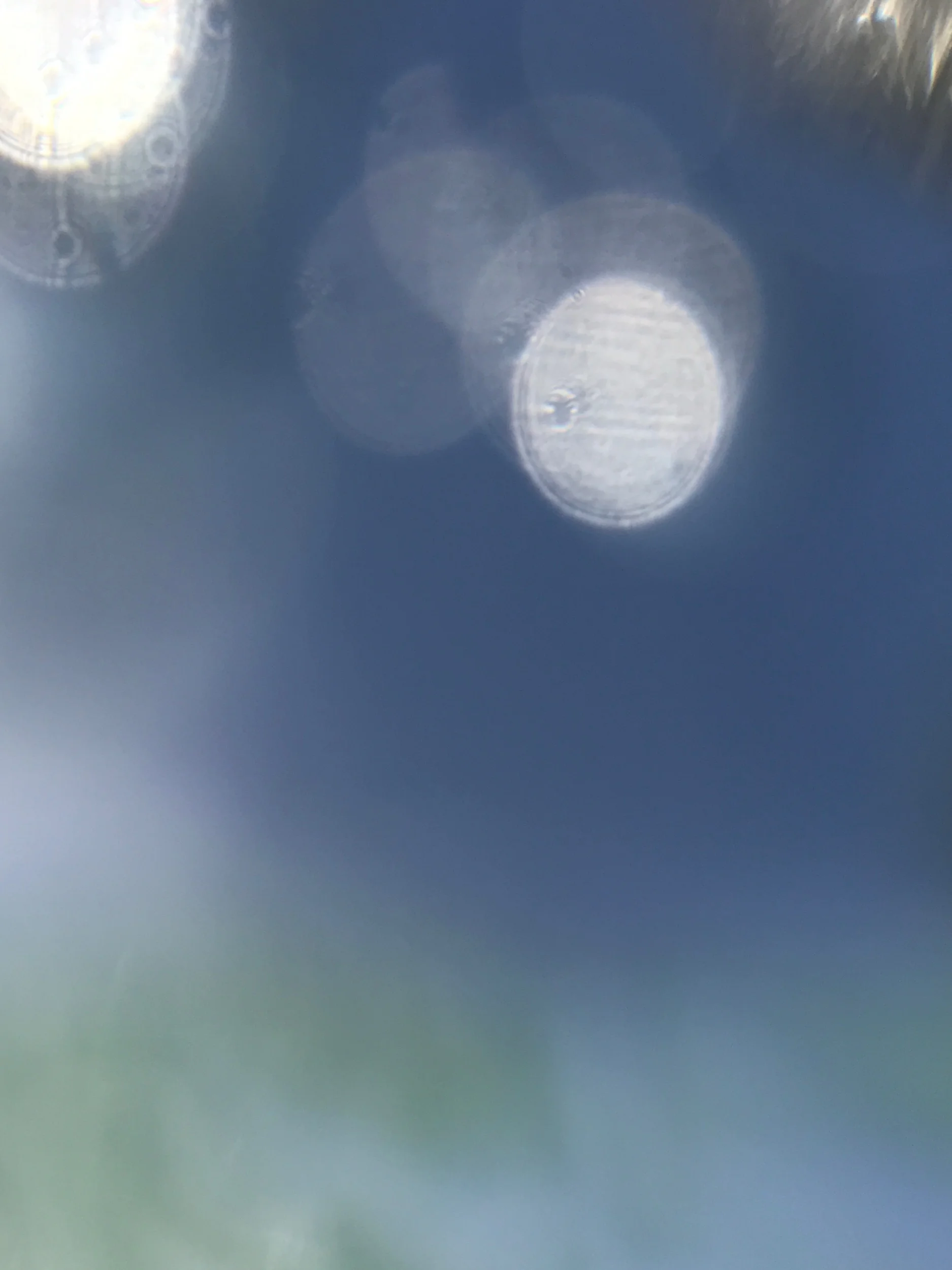 Surfing in Aloha world (Copy)