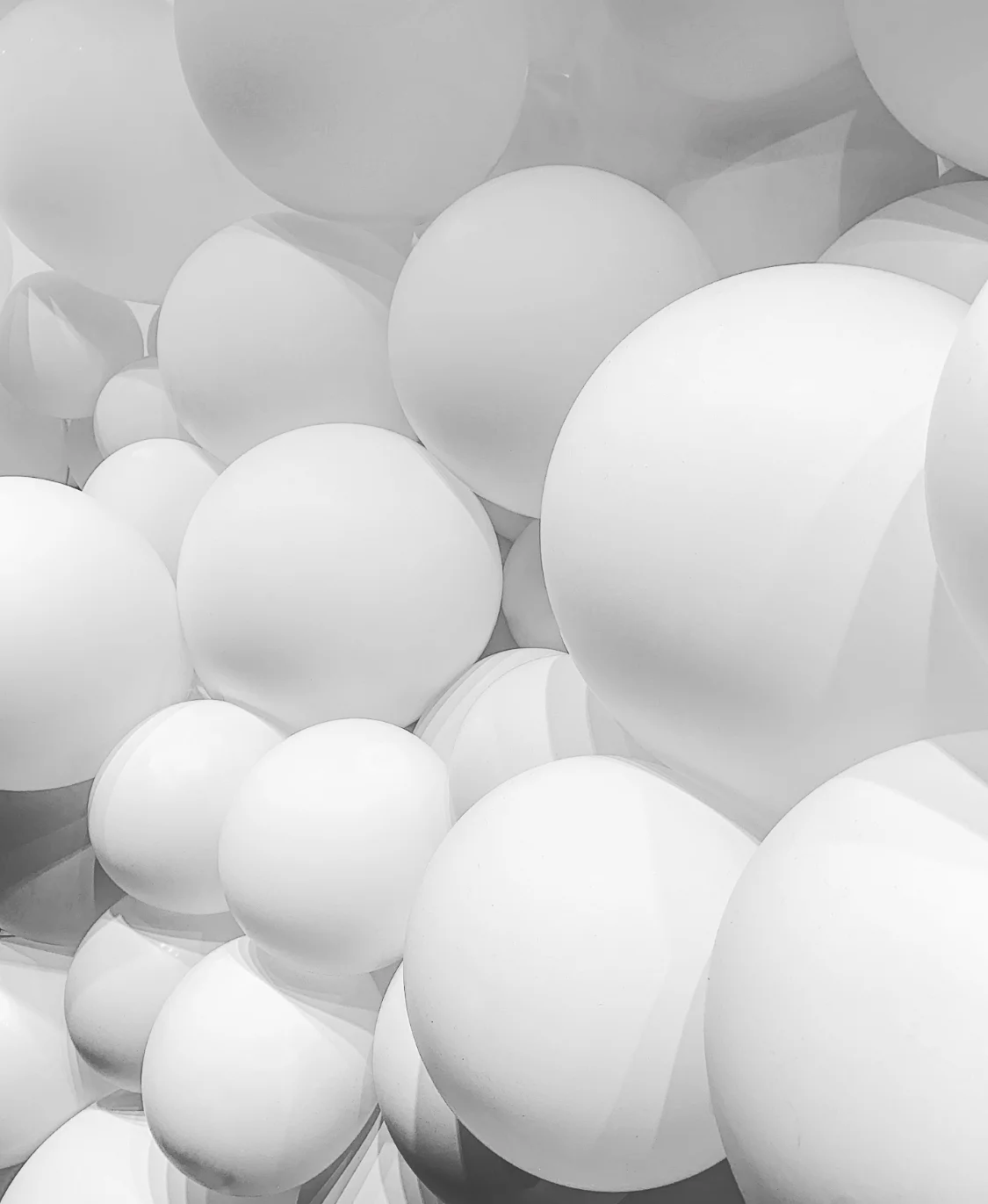 SF's White bubble (Copy)