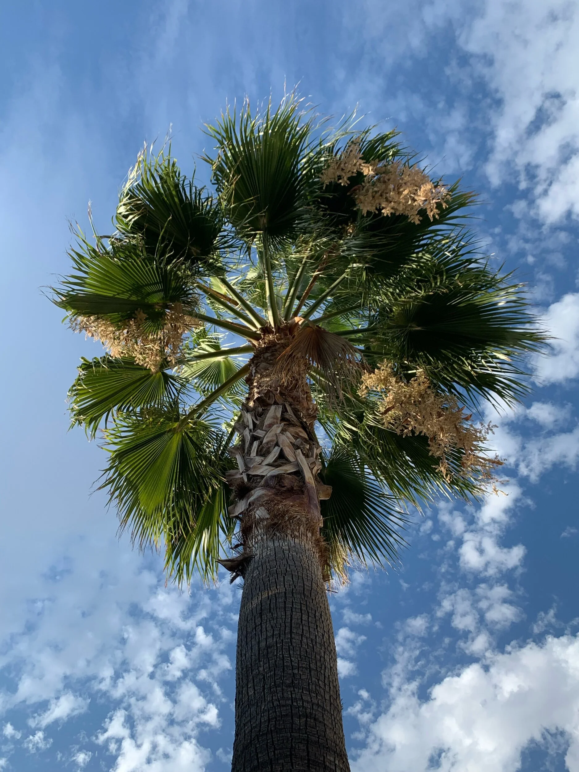 Summer of 2021 (Copy)