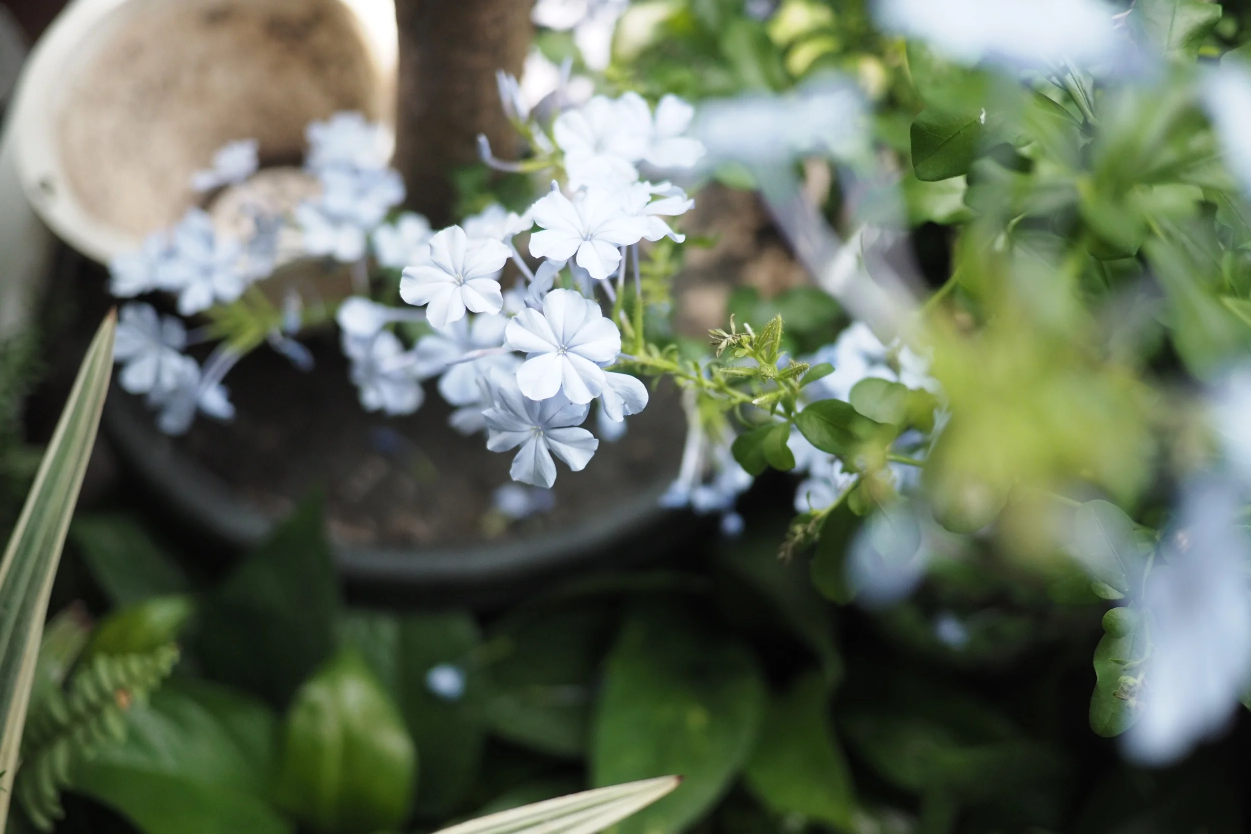 mche-lee-1647051-unsplash.jpeg