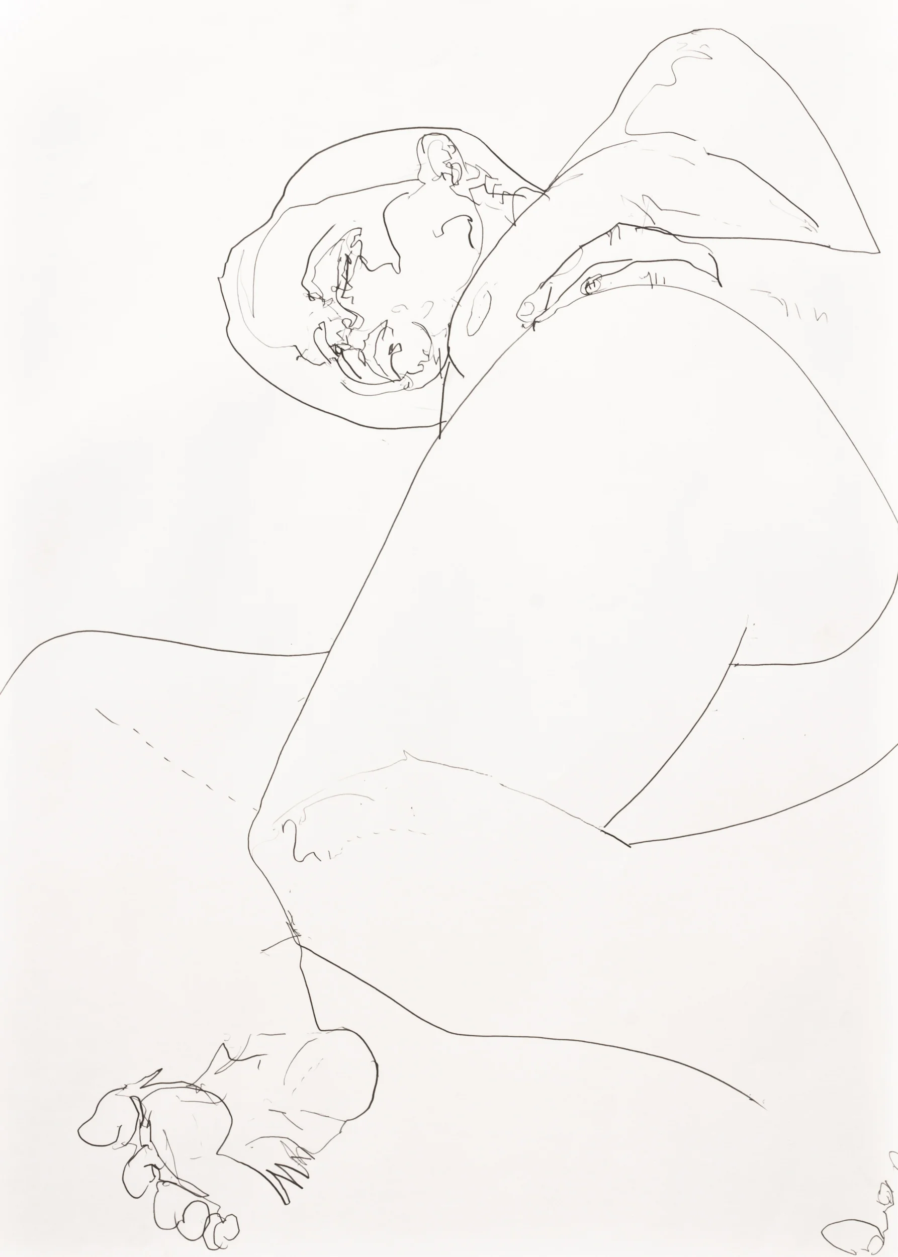 Hutcheson-original-contemporary-figure-drawing-female-reclining.jpg
