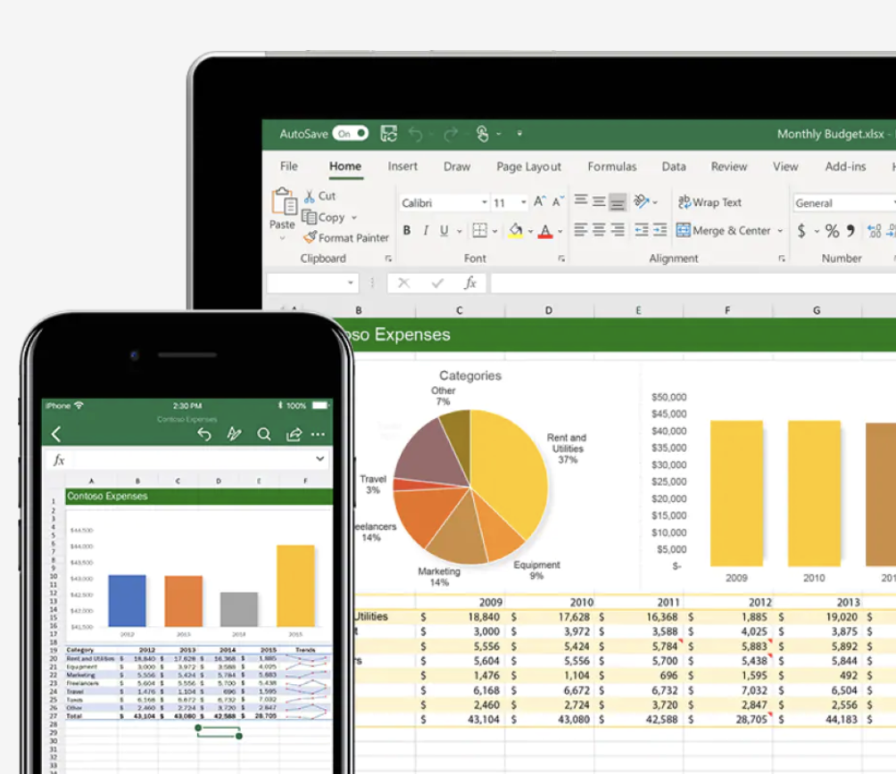 Microsoft Excel / Office 365