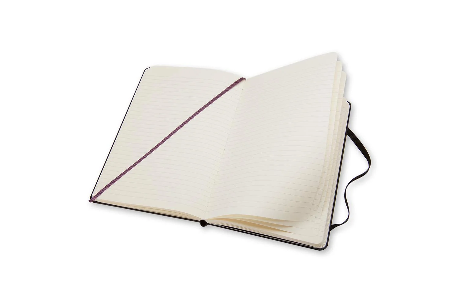 Moleskine Notebook