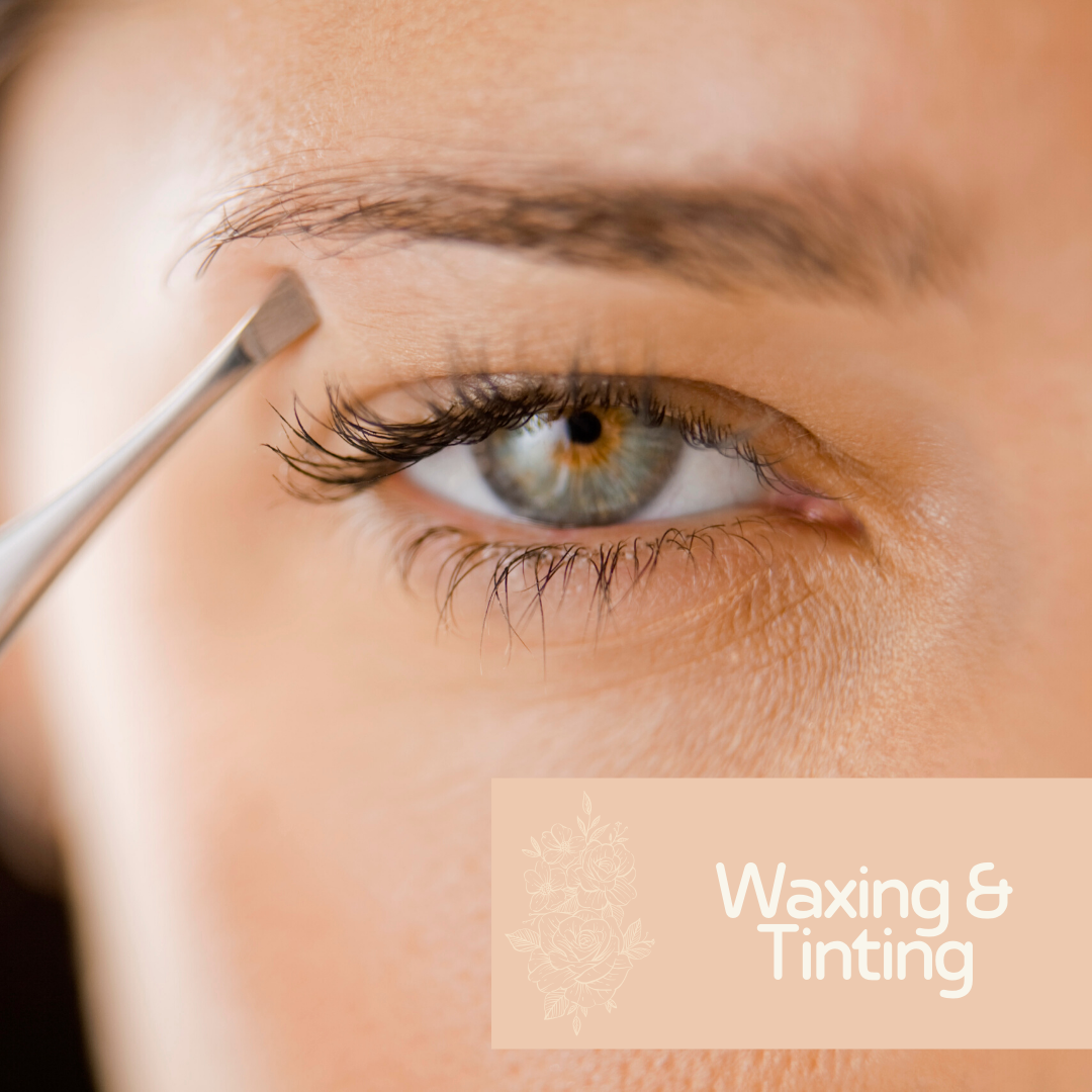 Waxing Pot | Beautiful Brows & Lashes